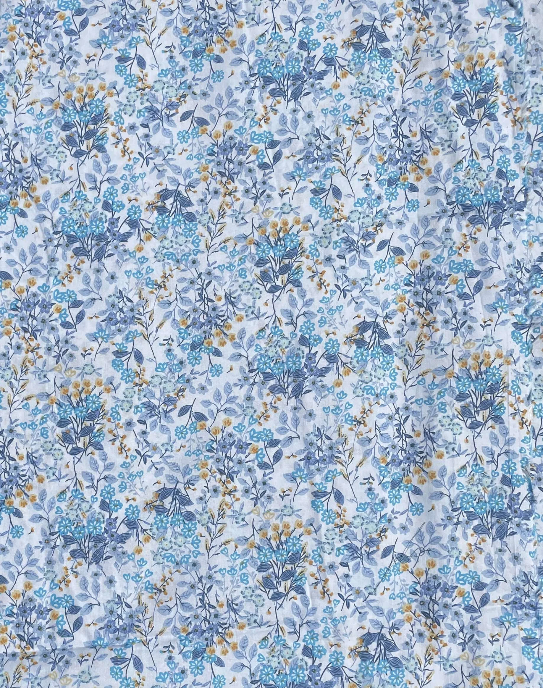 494325187_2687150534813586_4276823379276546096_n.jpg