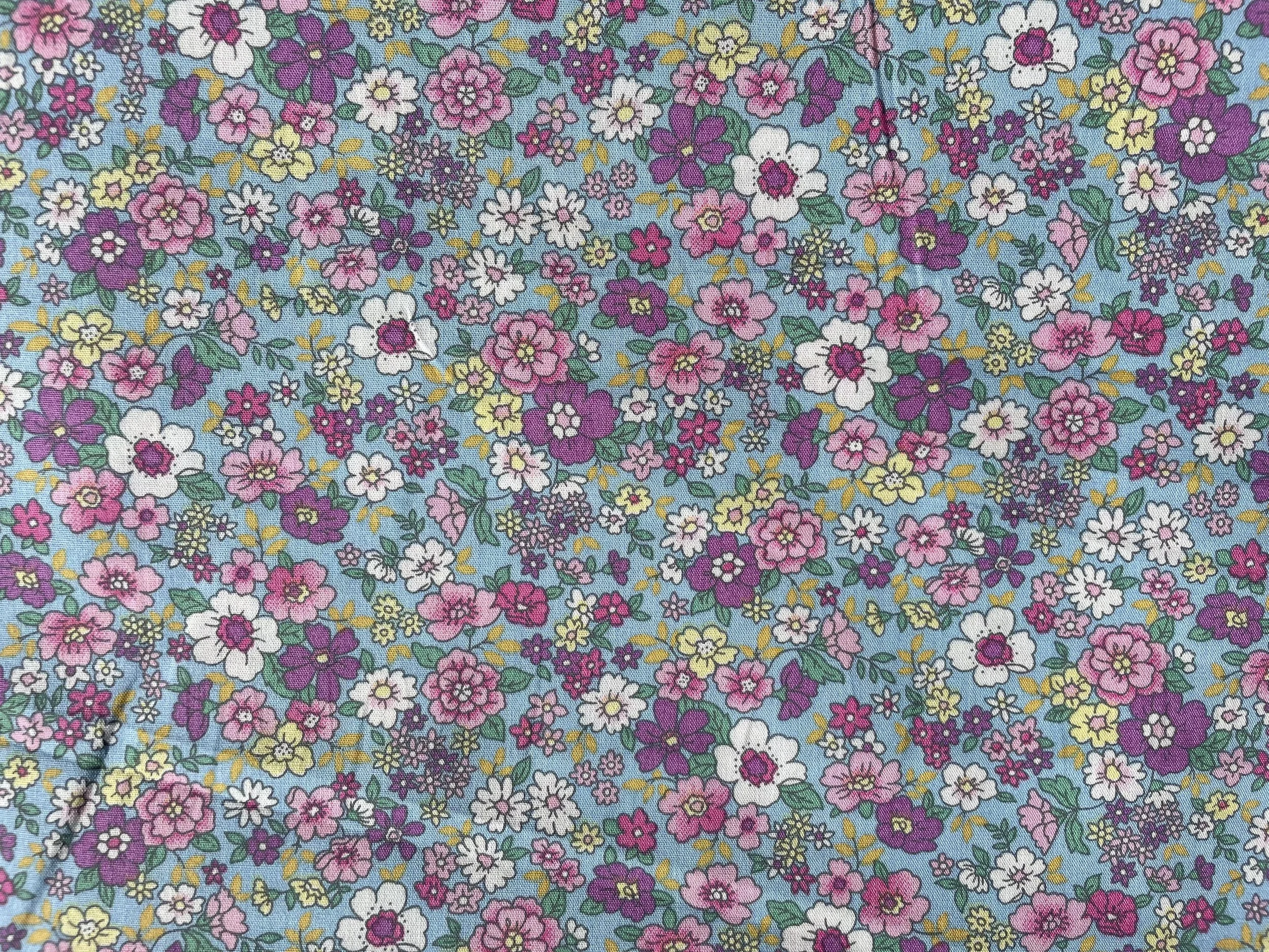 386856645_1728849244203993_7174895565684096330_n.jpg