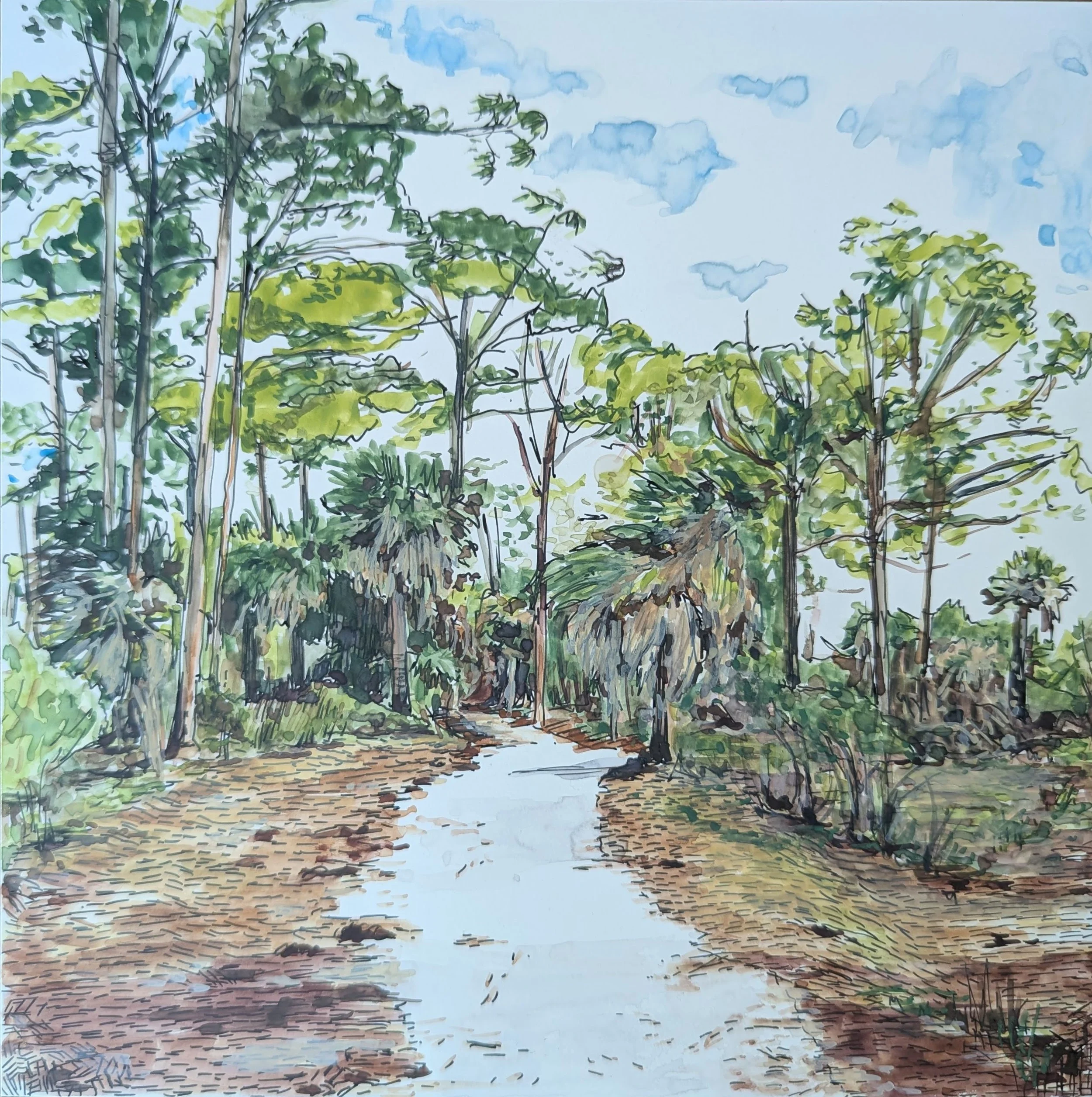 JamieHurst_Piney Path_2026_watercolor and gouache on board_8 x 8 inches.jpg