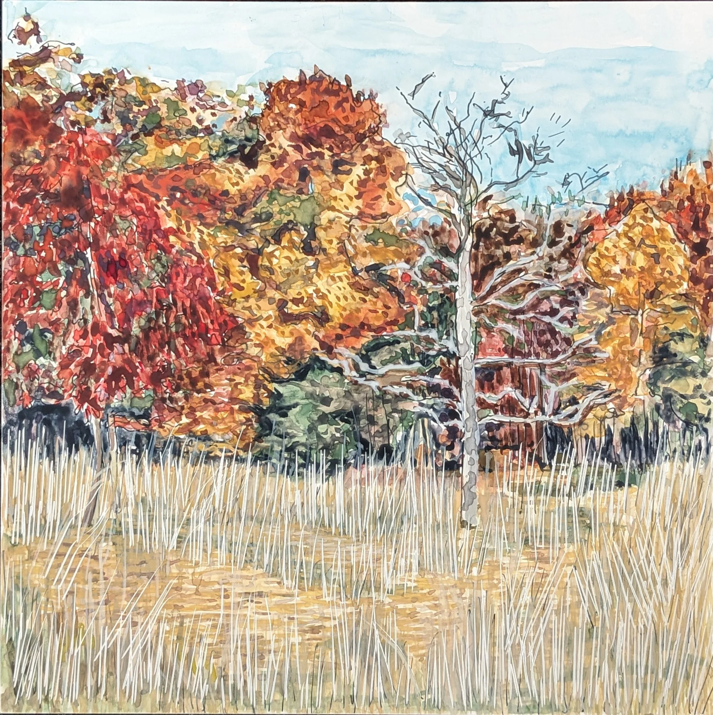 manasas battlefield.jpg