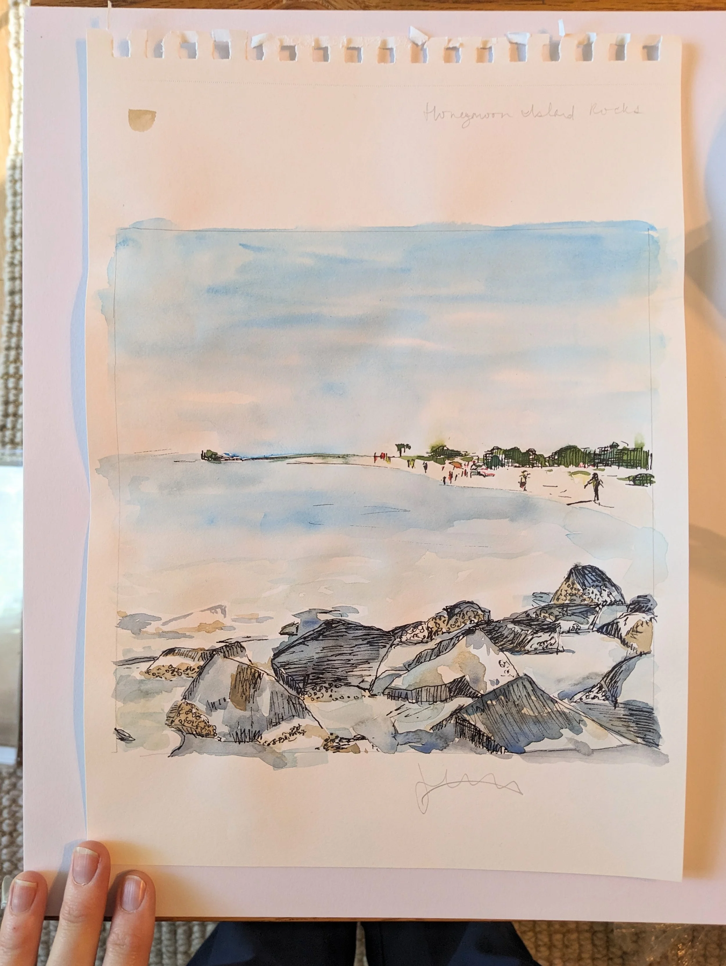 honeymoon island rocks.jpg