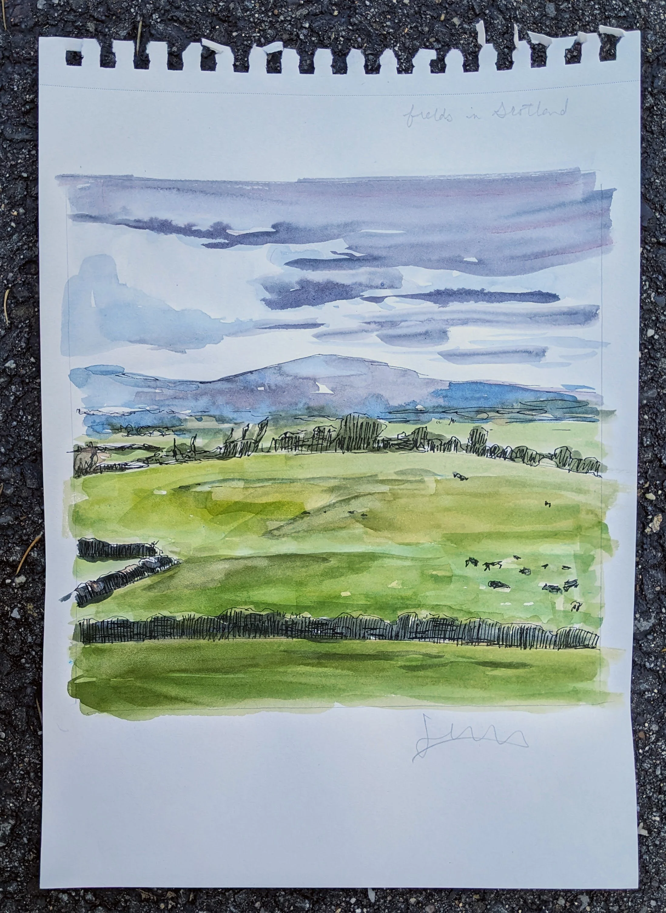 fields in scotland sketch.jpg