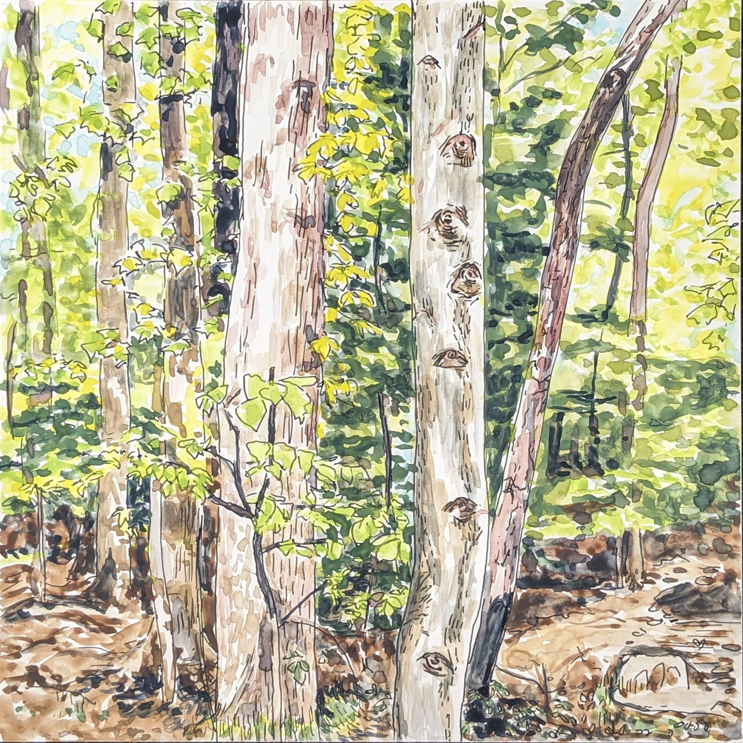 the trees have eyes.jpg