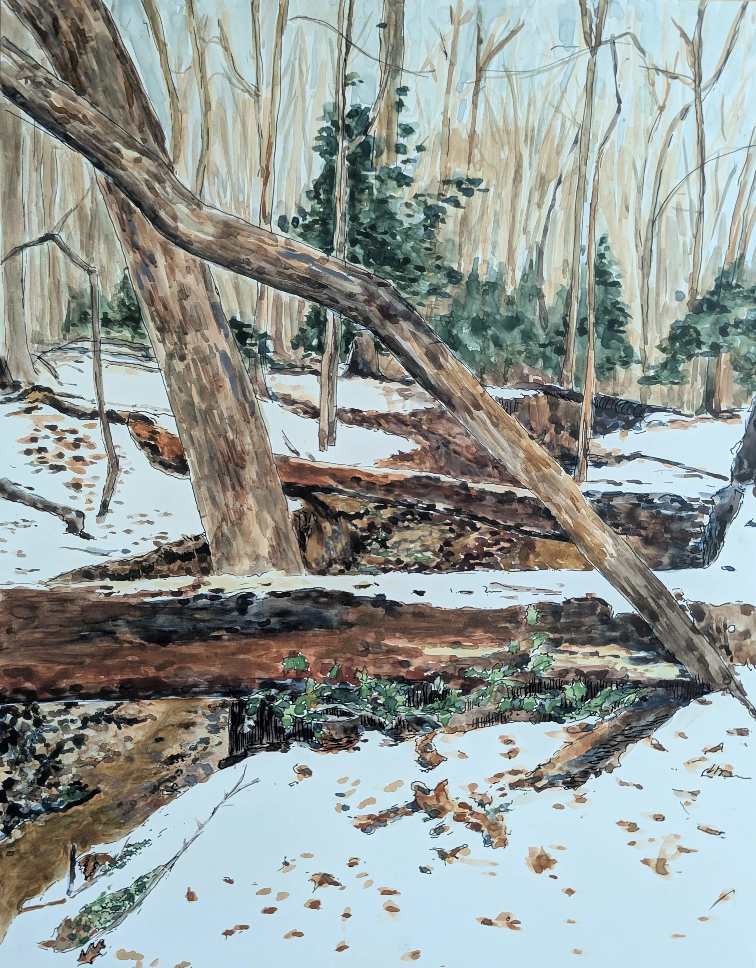 snow on bridge city_Jamie Hurst.jpg