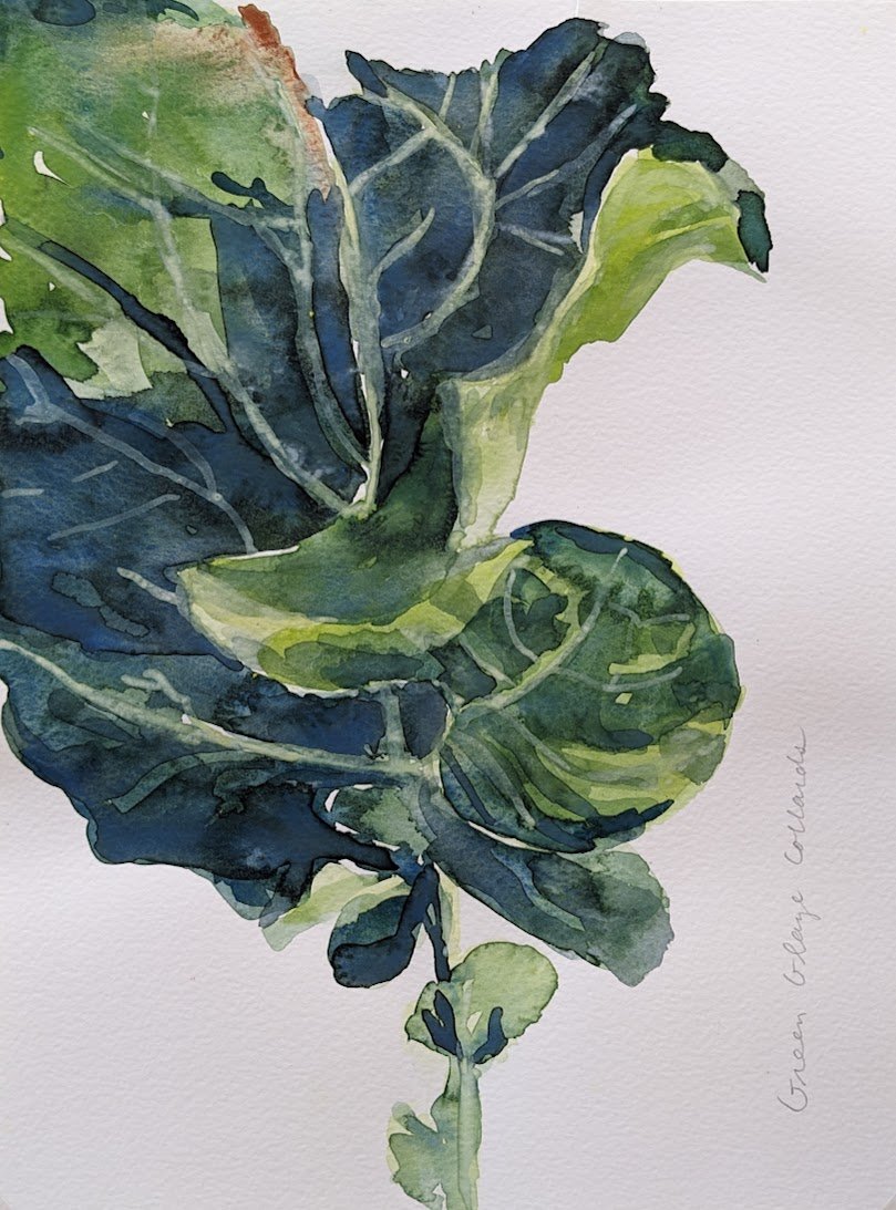 Green Glaze Collards II
