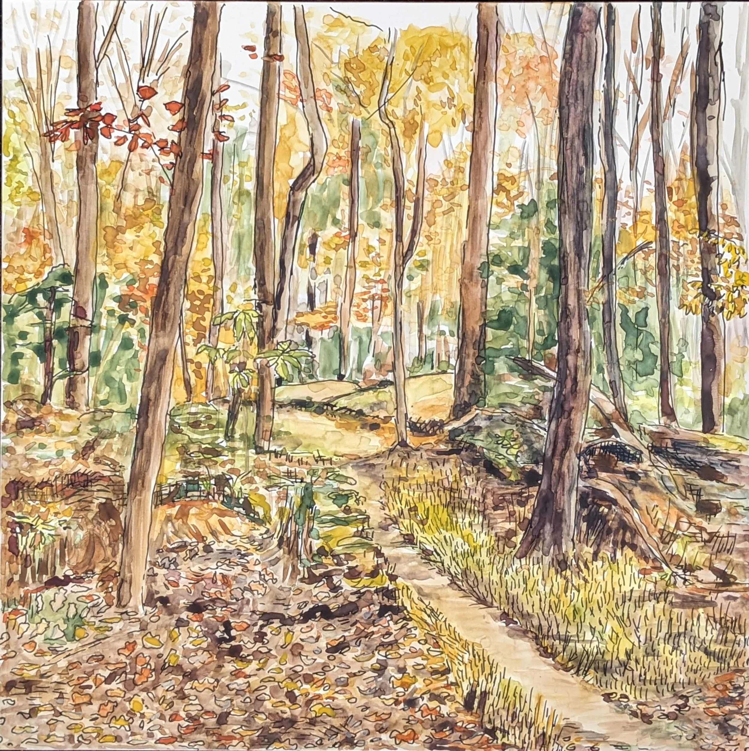 woods walk.jpg
