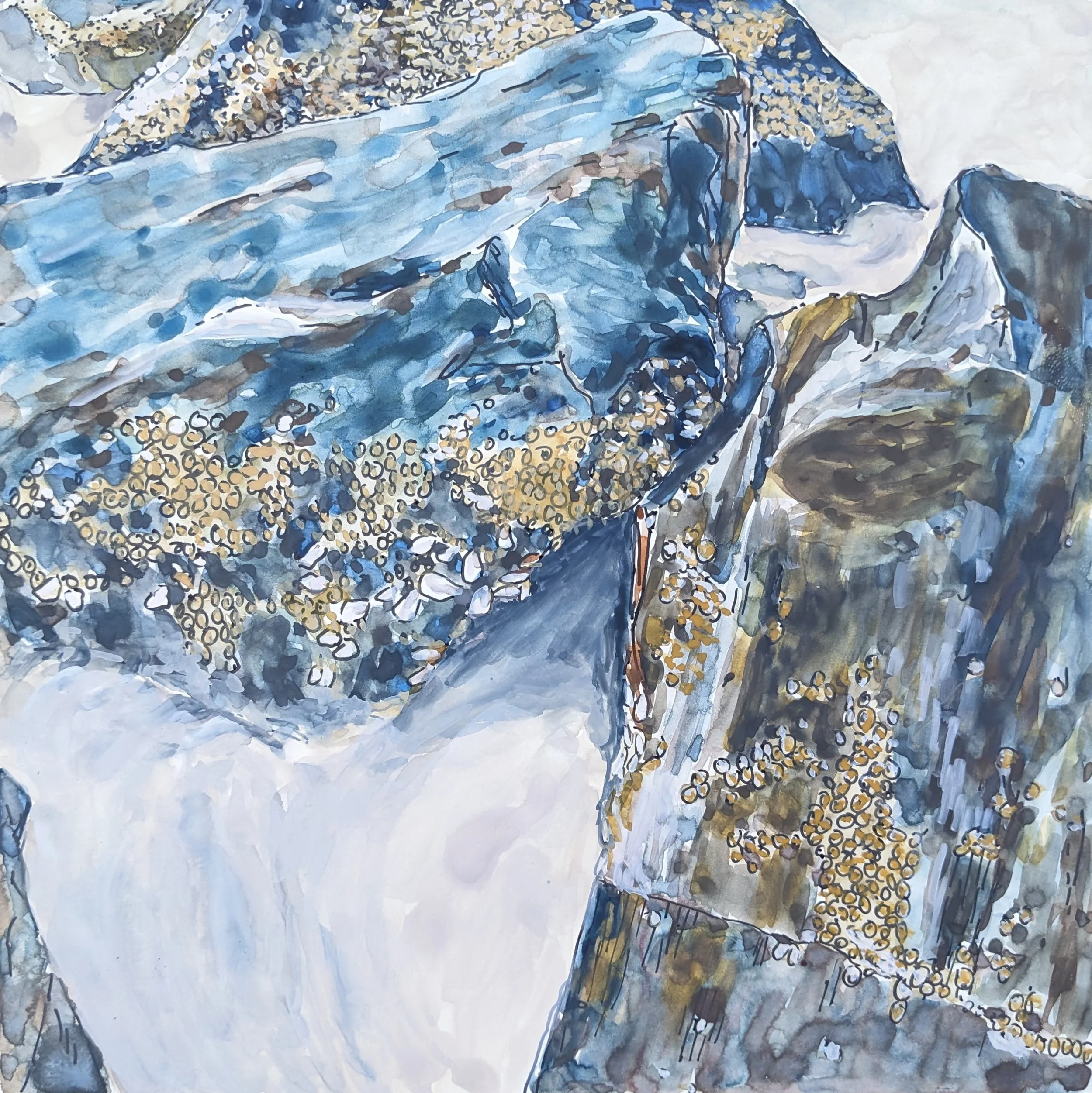 rocks on honeymoon island.jpg