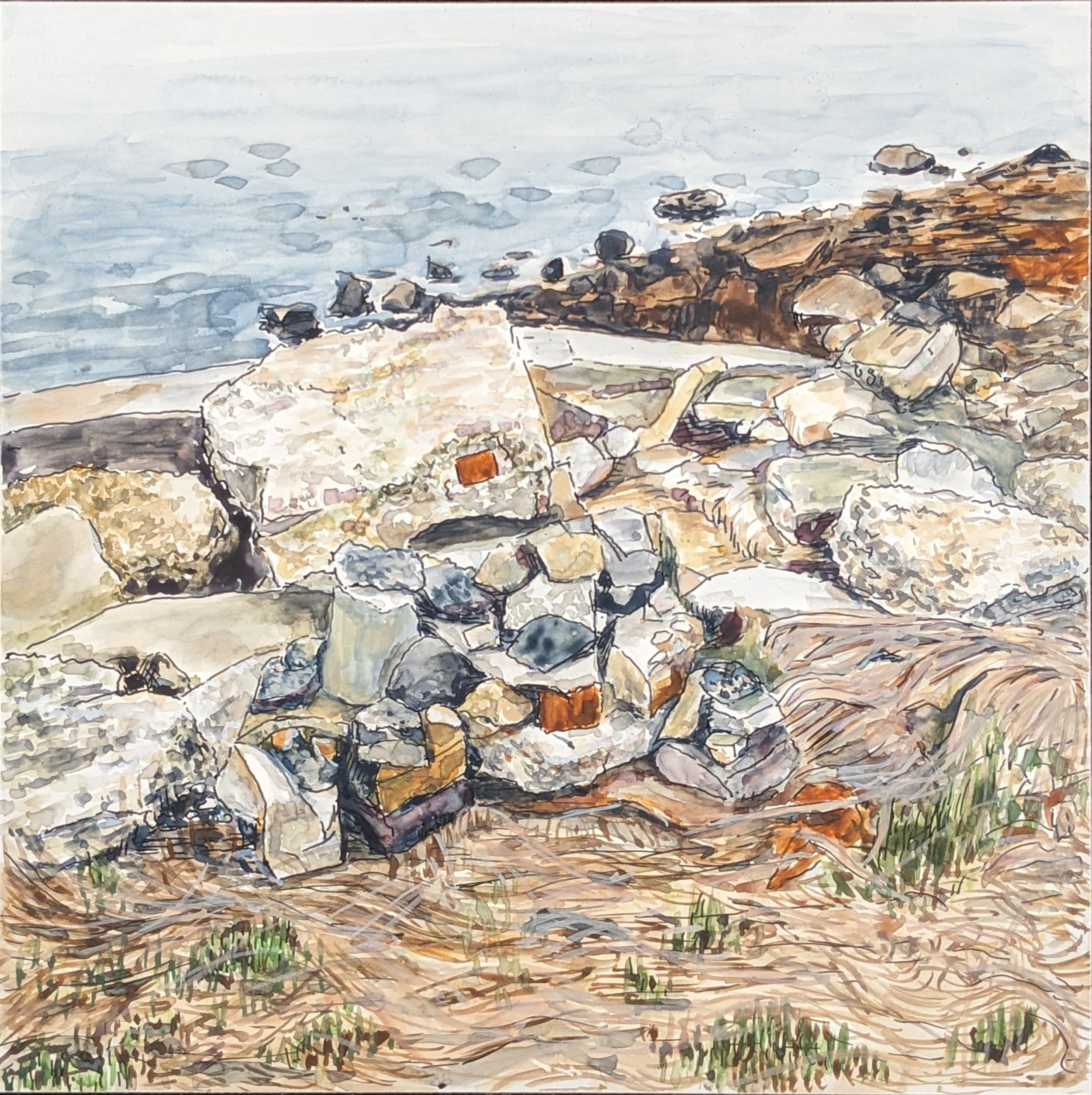 shore of st josephs sound close-up.jpg