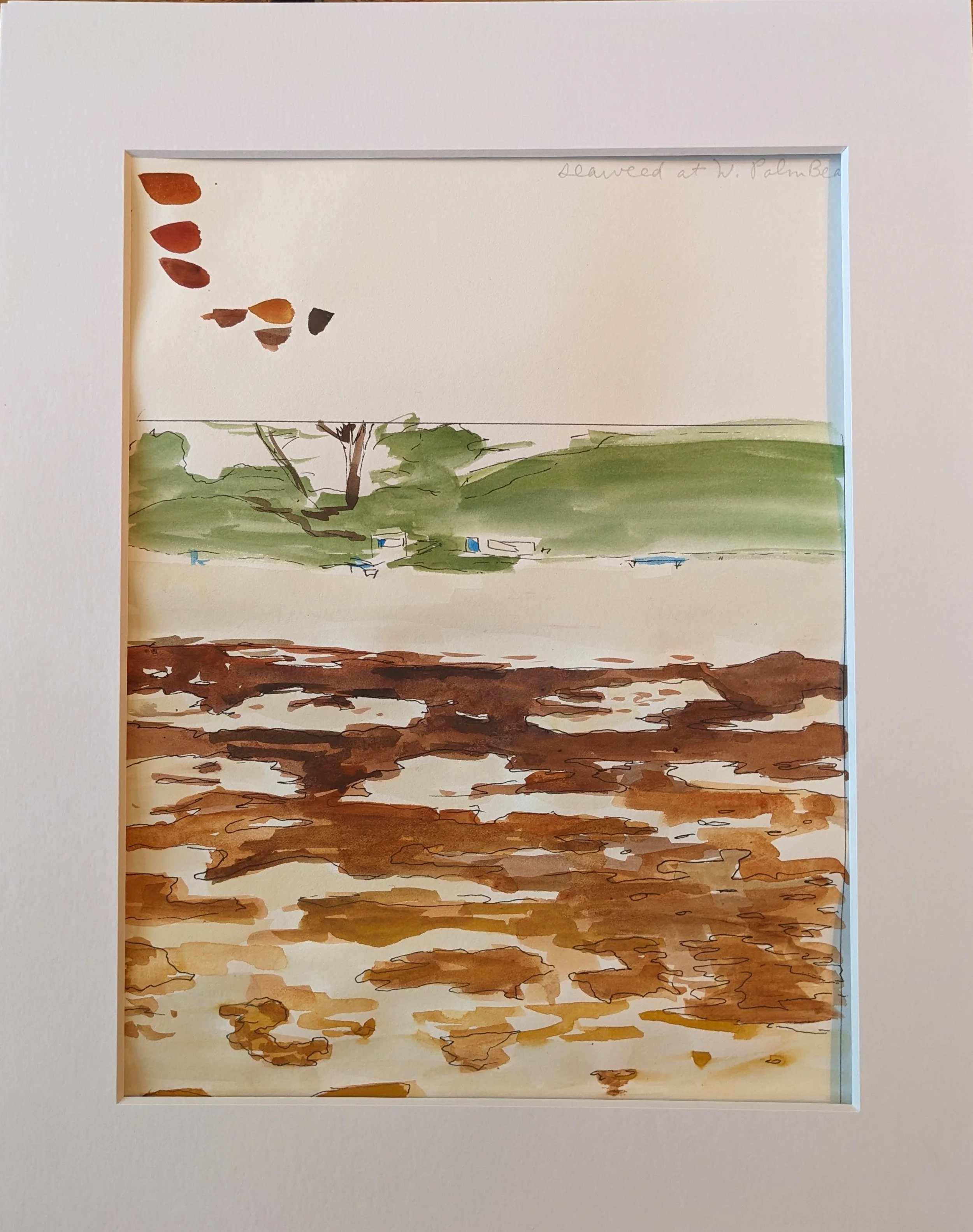 seaweed WPB sketch.jpg
