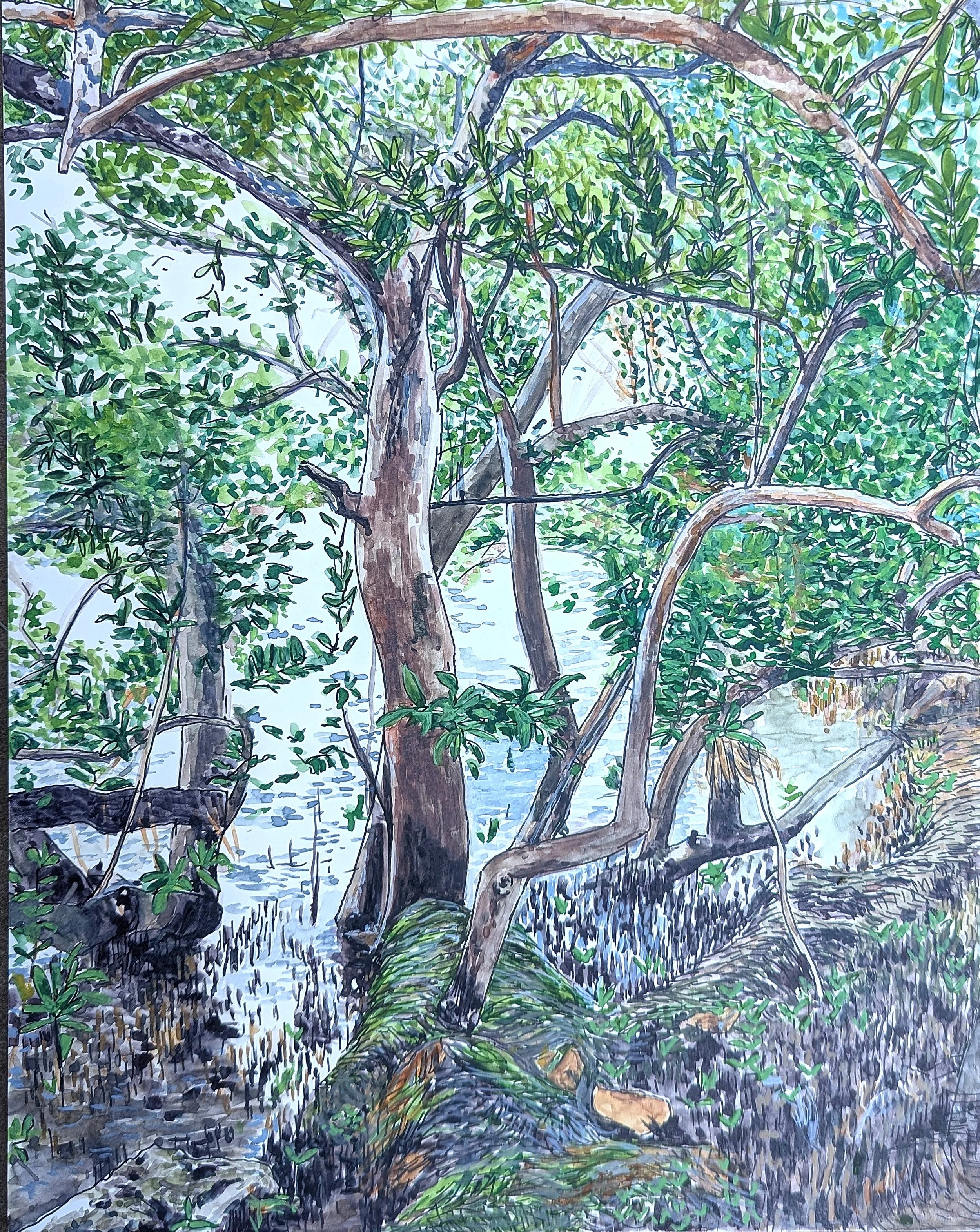 meditations in the mangroves.jpg