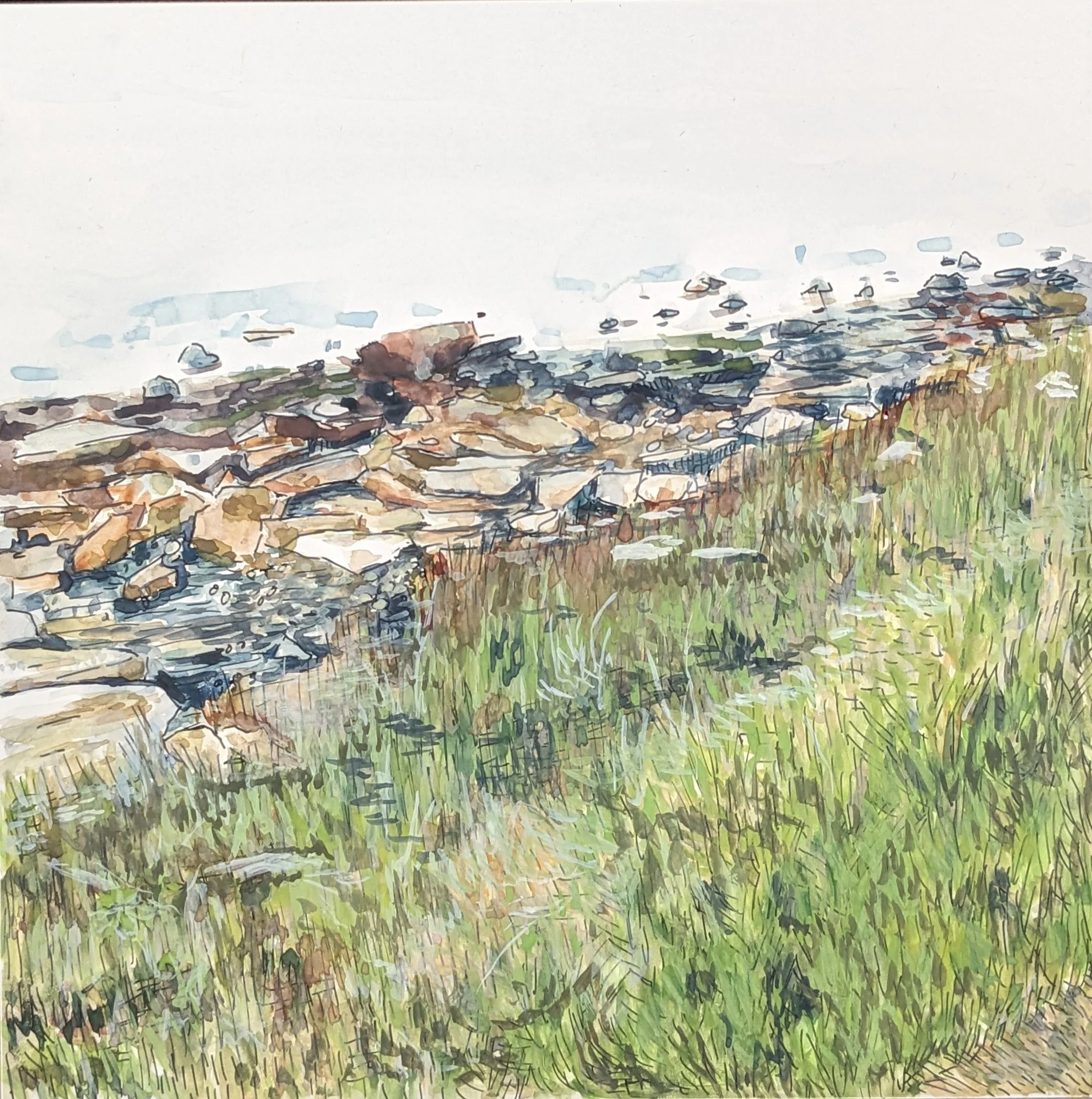 shore of st josephs sound.jpg