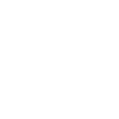 White minimalistic Icon of a security lock, symbolizing the autonomous safety features of the Vienna software suite