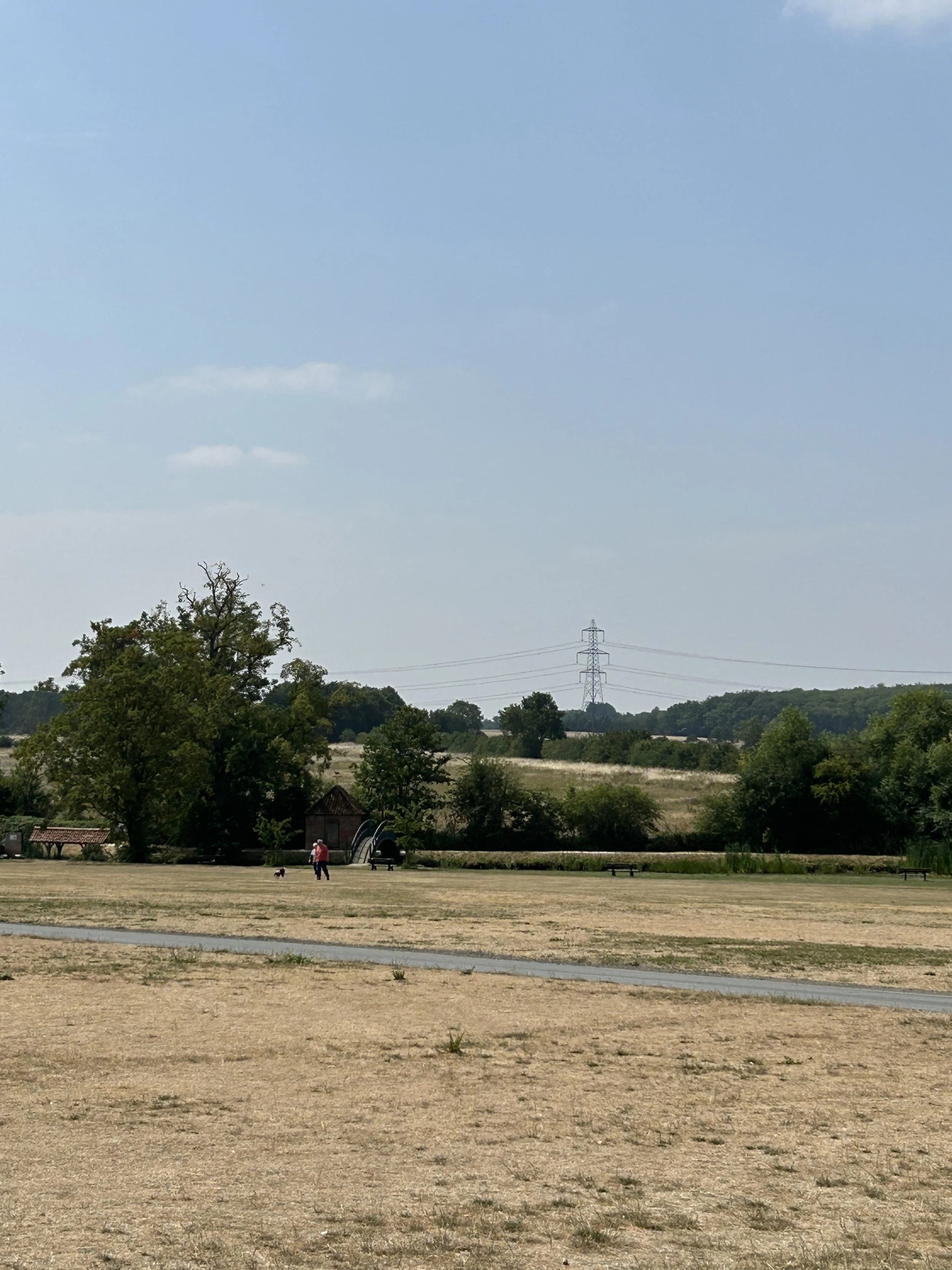 IMG_6608.jpeg