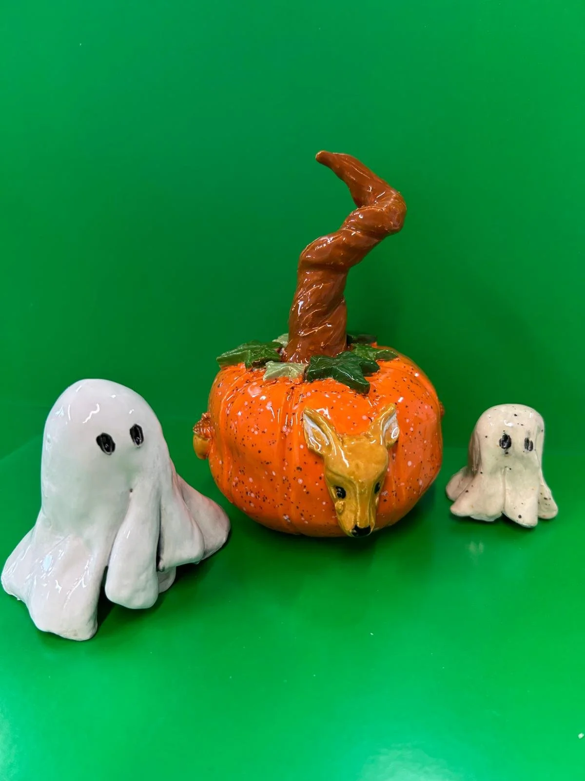 WhatsApp Image 2026-02-09 at 10.08.34 (2).jpeg