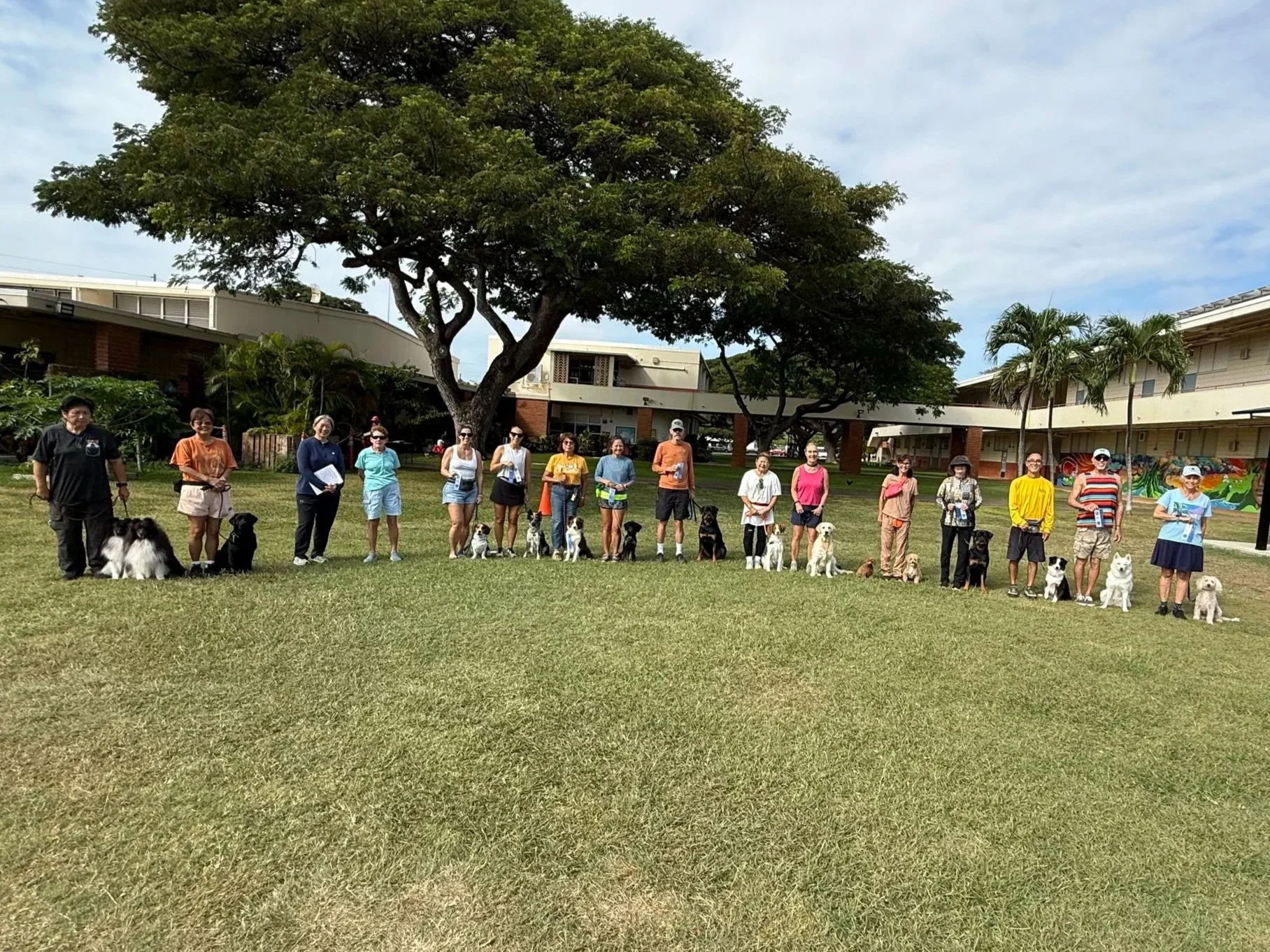 December 2025 CGC, CGCA & Trick Dog Titles