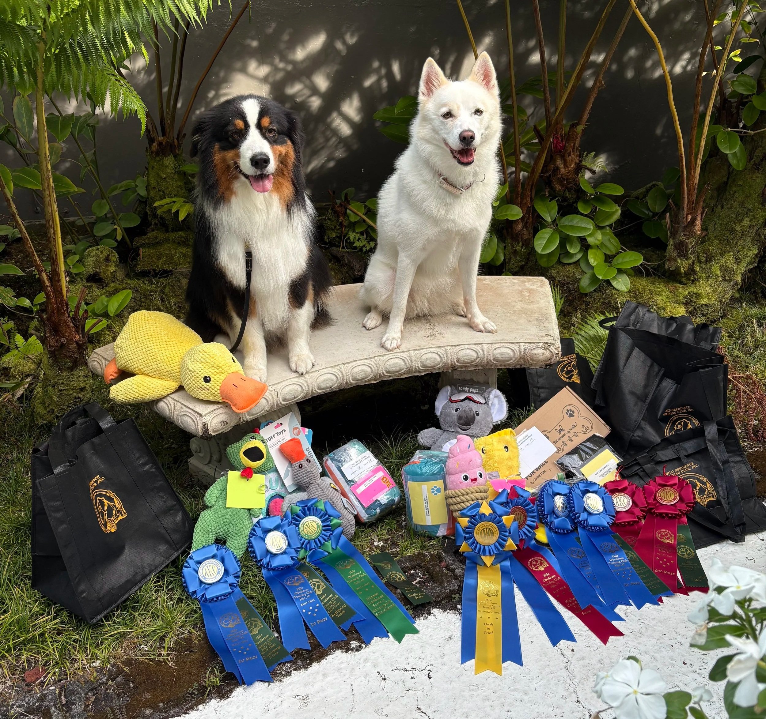 Cooper & Mahina