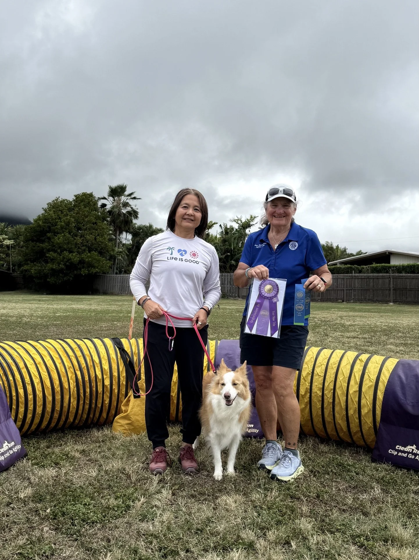 Tomo, Miki & Judge Jan Skurzynski (Excellent JWW title)
