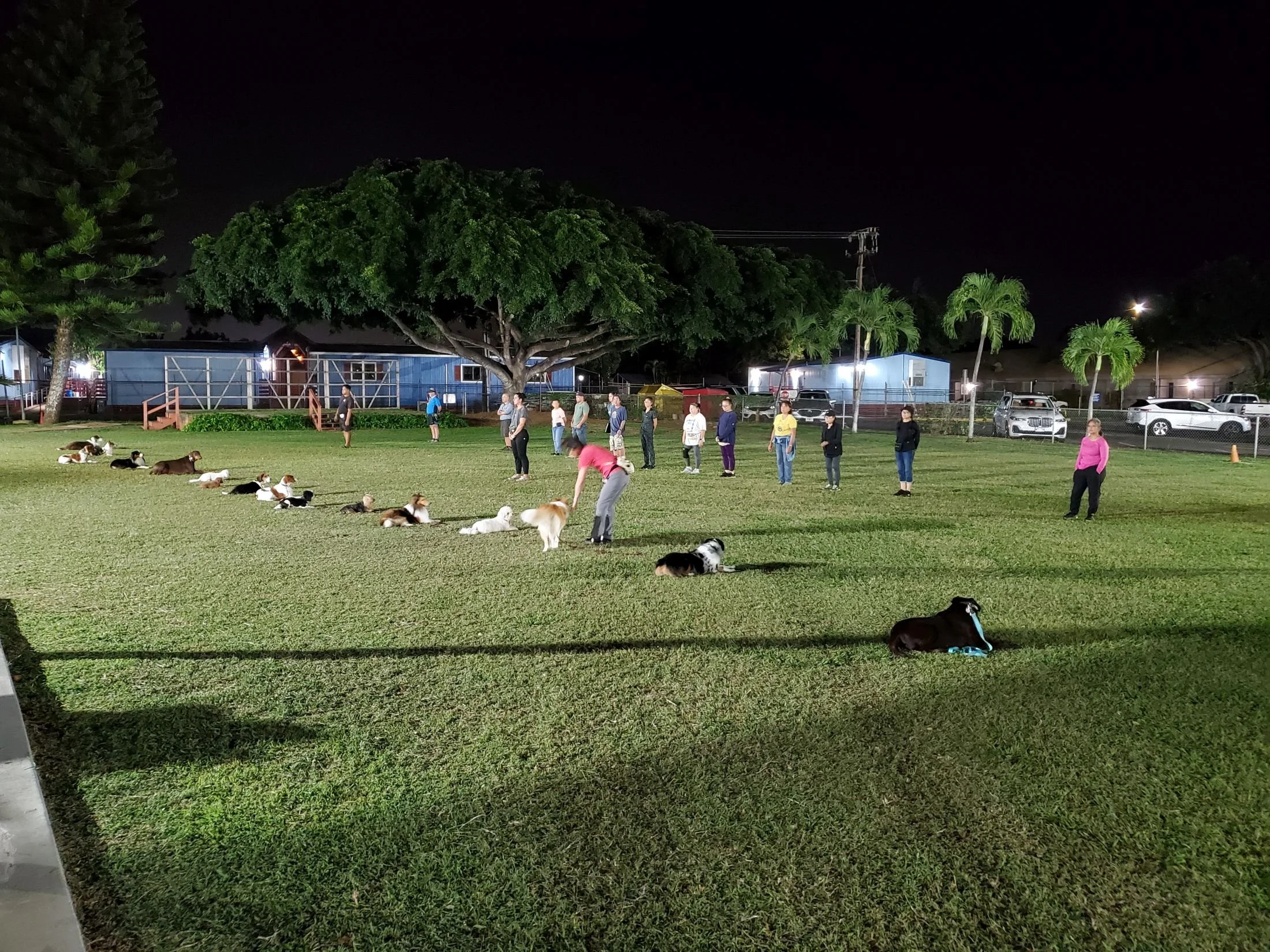 Sammy and Art - Long Down Exercise.jpg