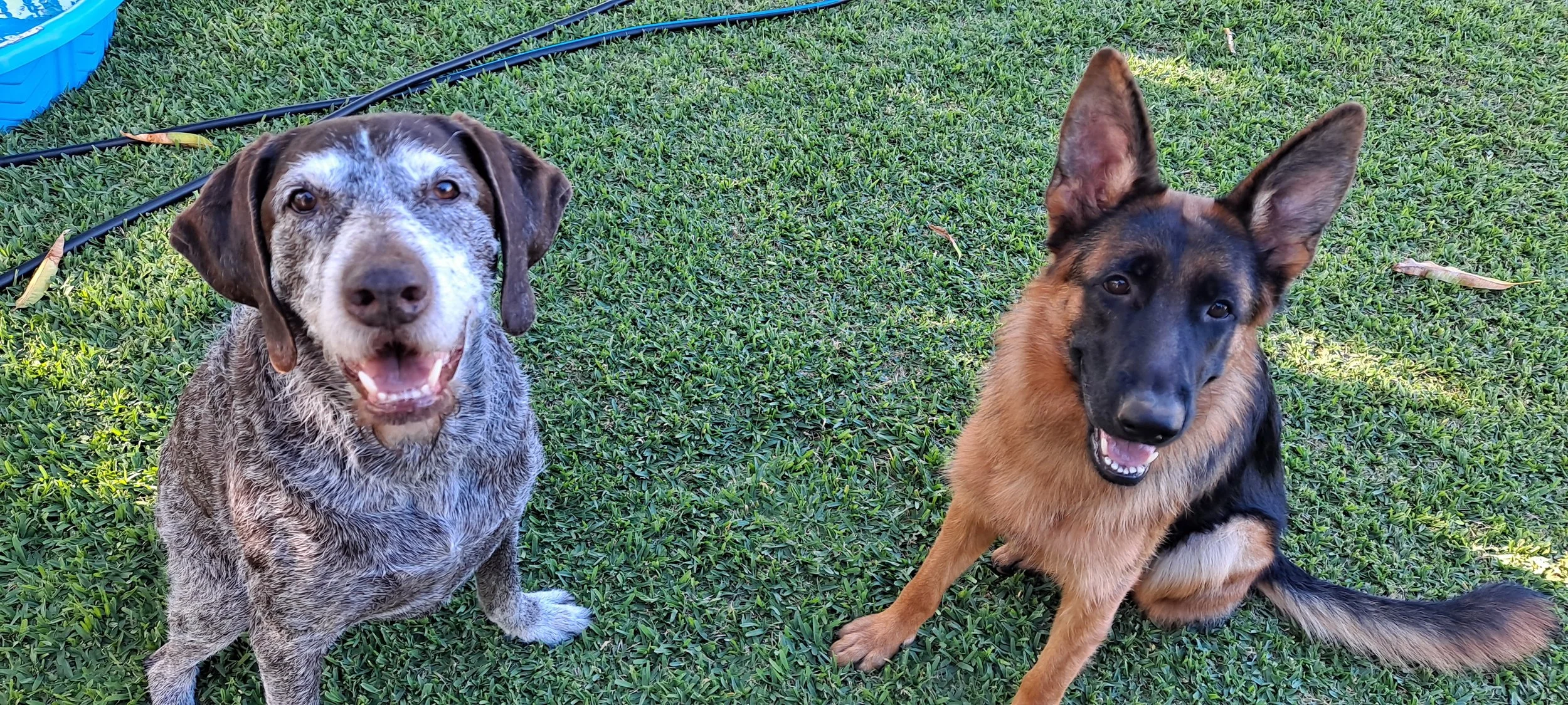 Manchee & Maka