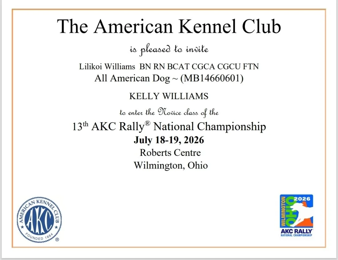 Lilikoi 2026 AKC Rally National Championship Invite