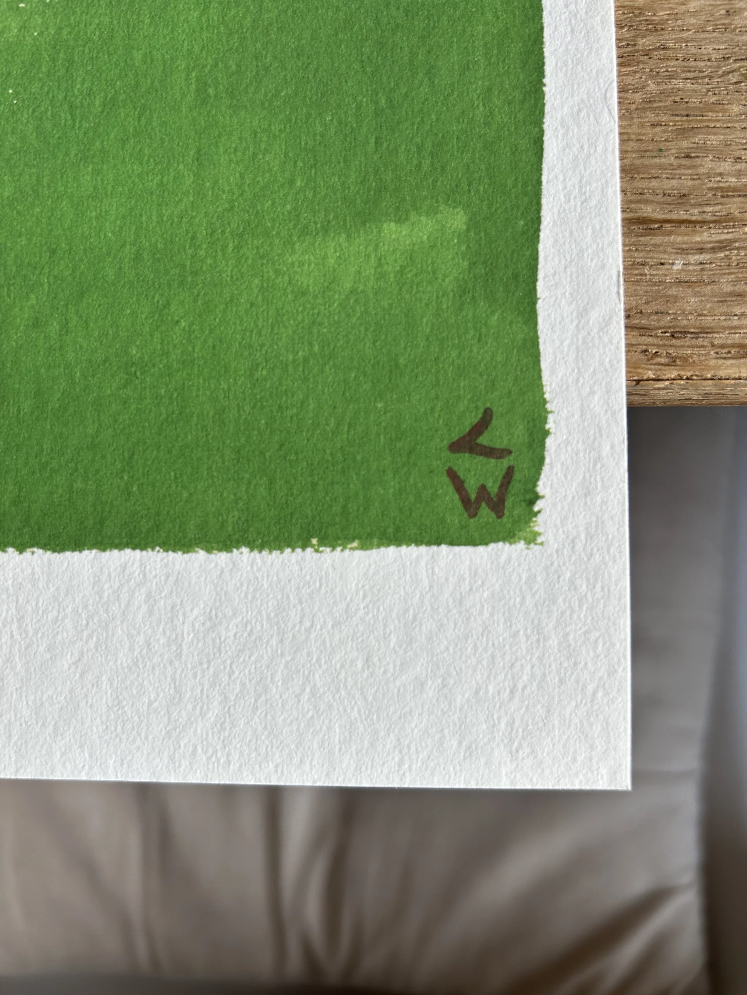 IMG_7694.jpeg (Copy)