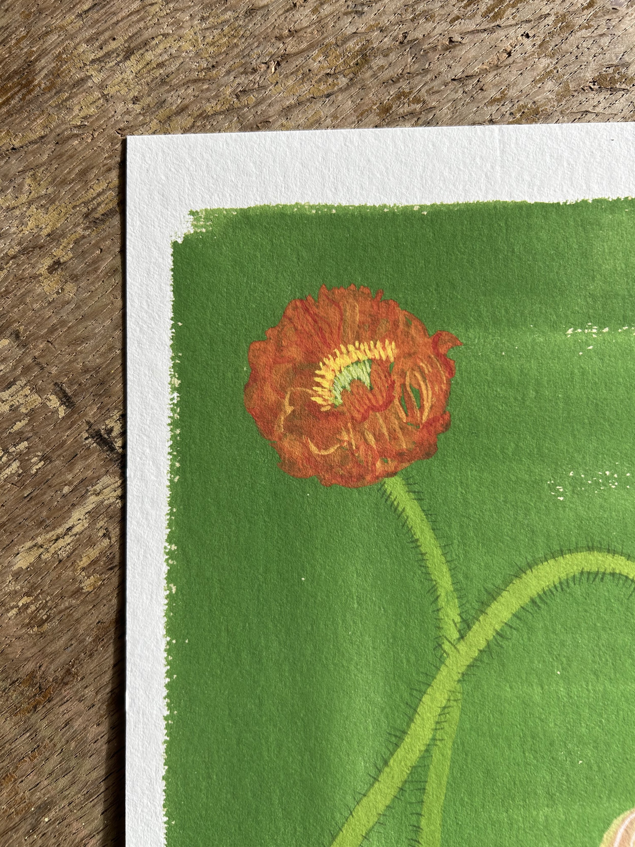 IMG_7695.jpeg (Copy)