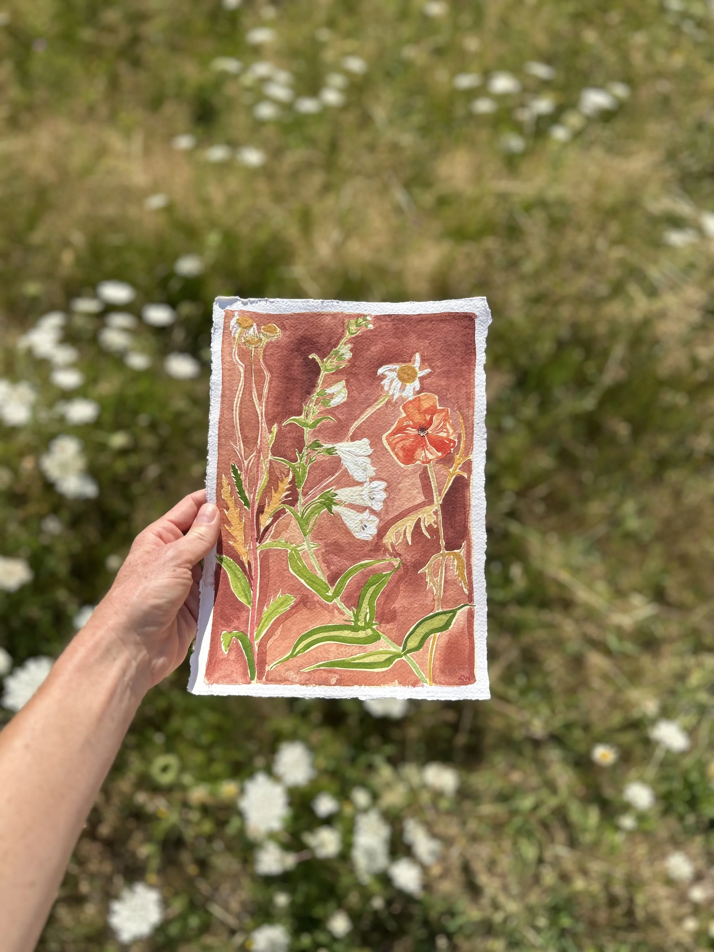 July meadow Original Painting