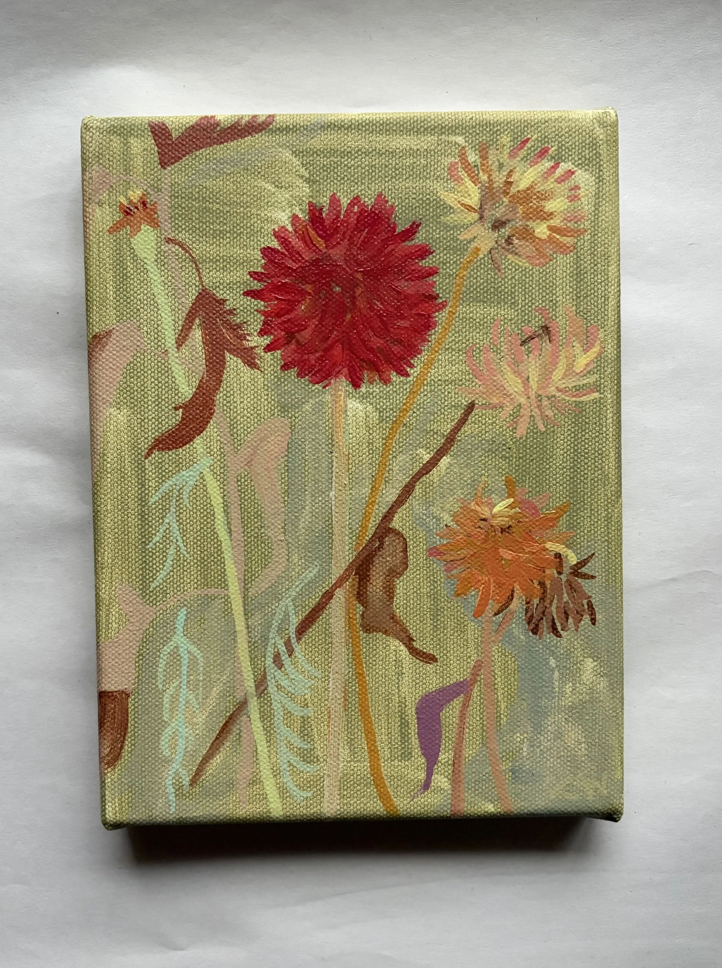 Autumn Dahlias