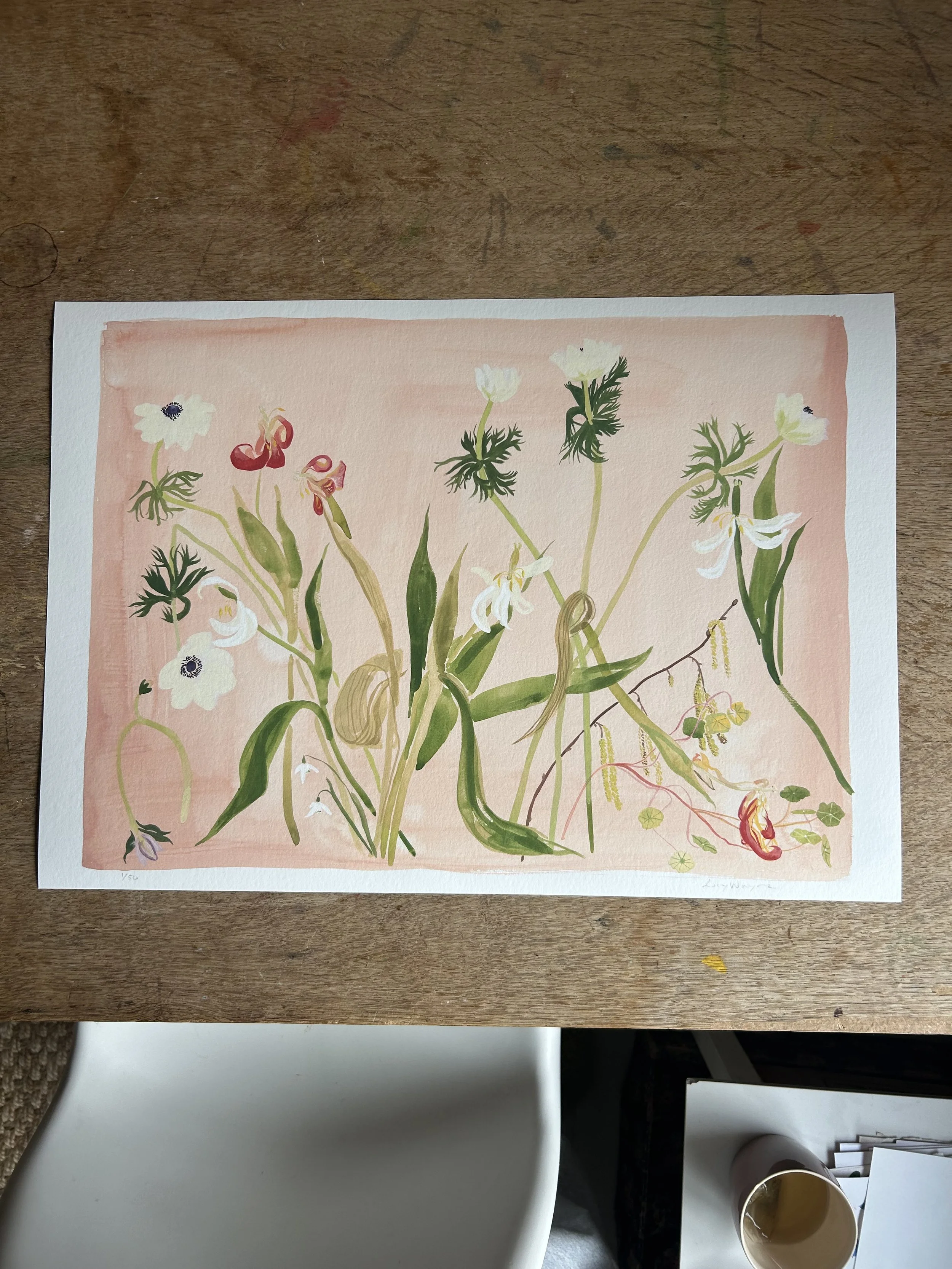 Gentle Spring Limited Edition