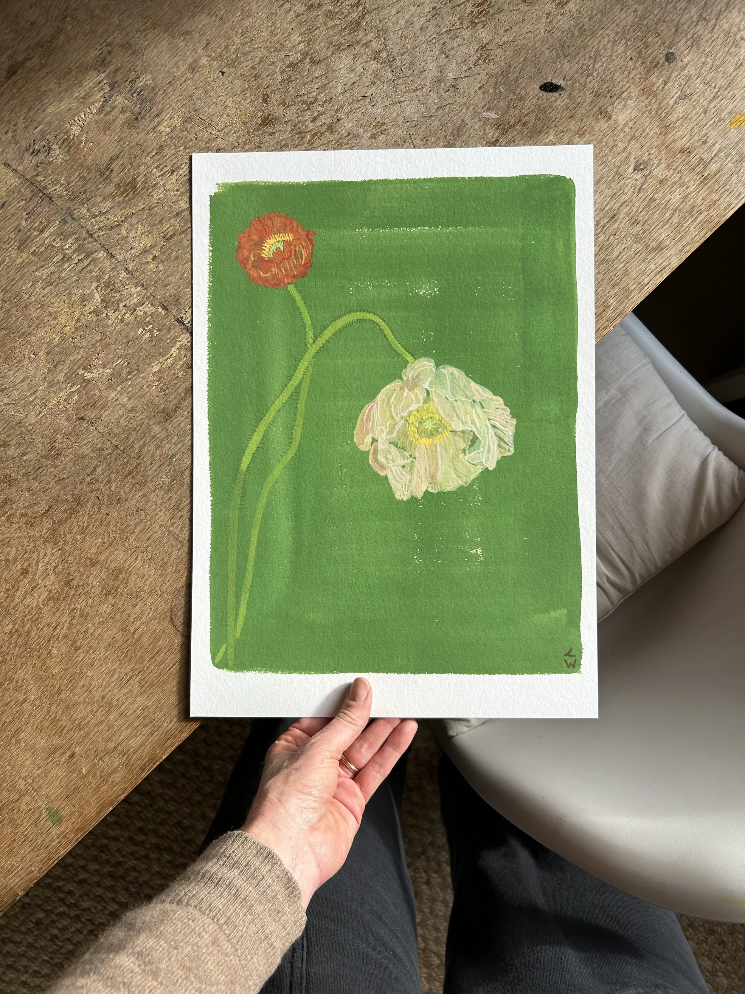 Green Poppy 3 (A3) Limited Edition Print STUDIO SALE