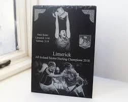 Limerick All Ireland Champions 2018