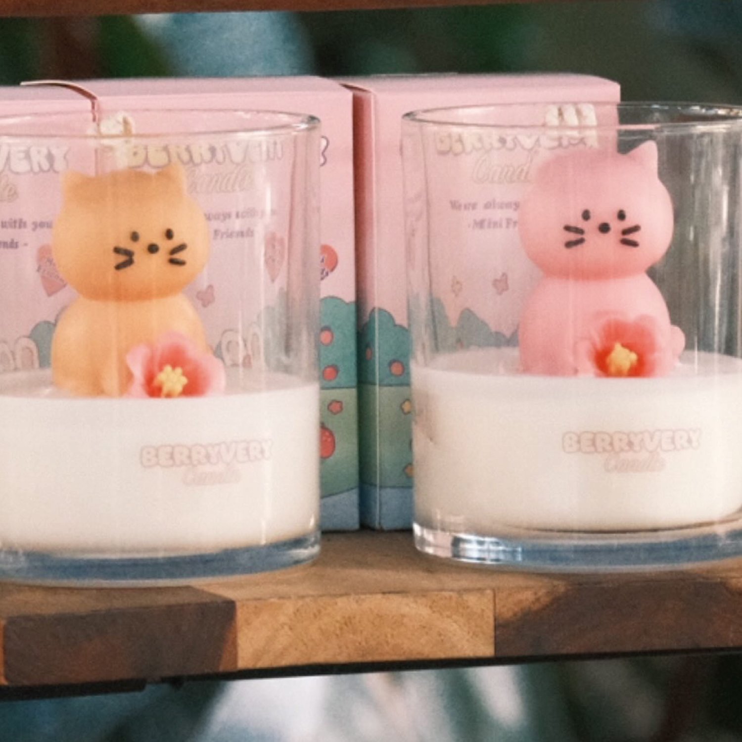 고양이.jpg