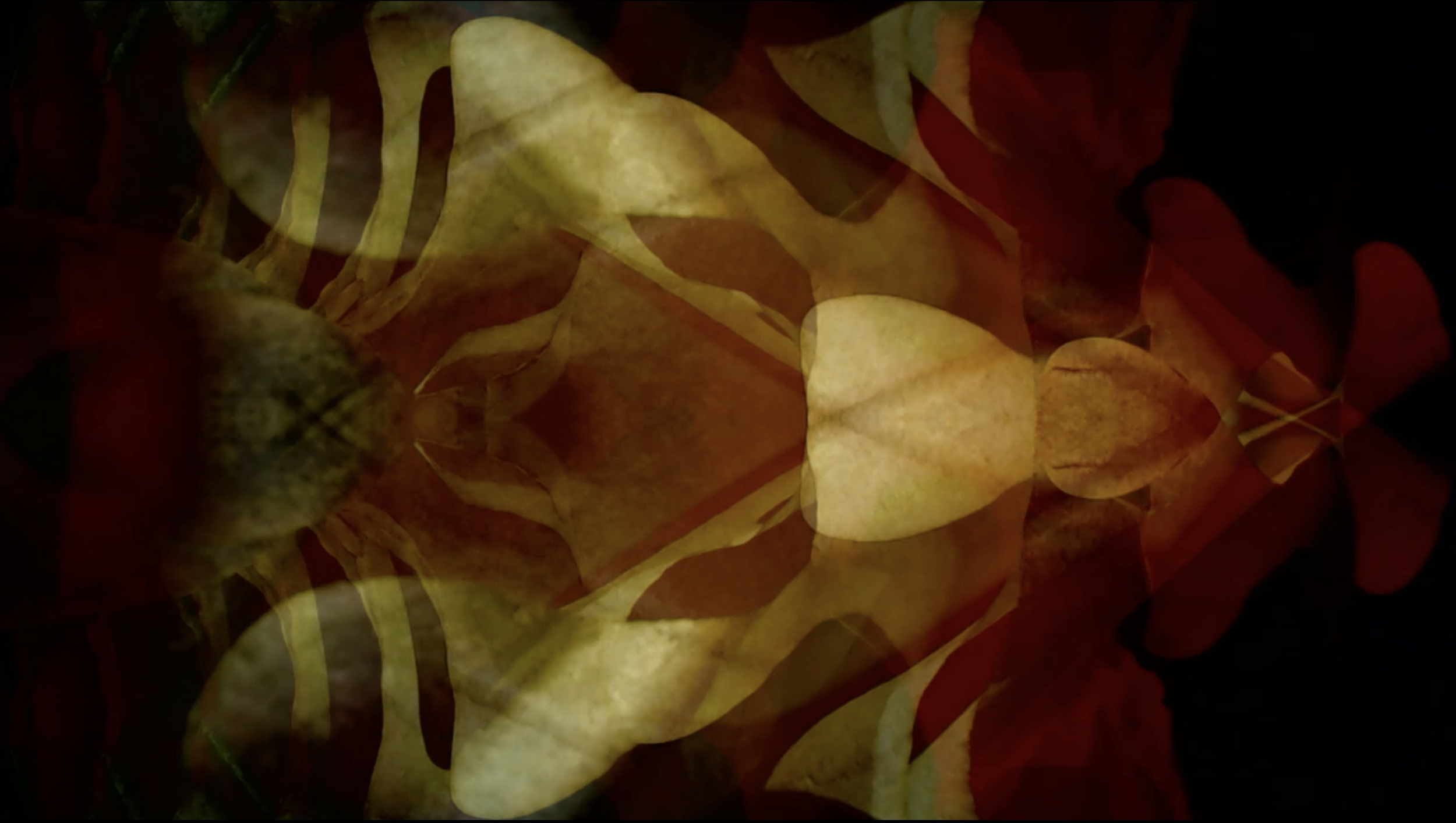 Still from the music video for - Søndermarken (Reimagined by Anne Müller)