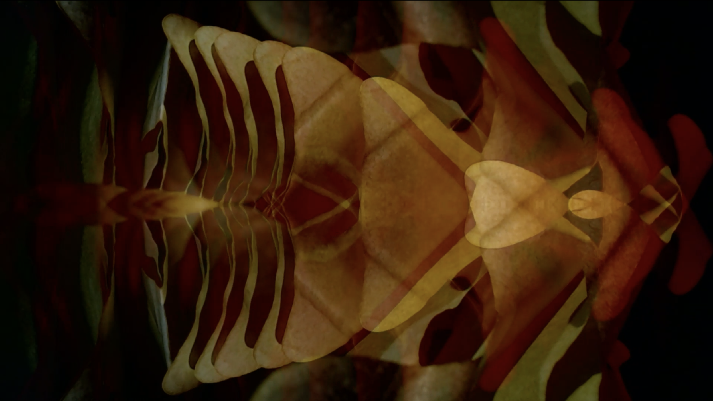 Still from the music video for - Søndermarken (Reimagined by Anne Müller)