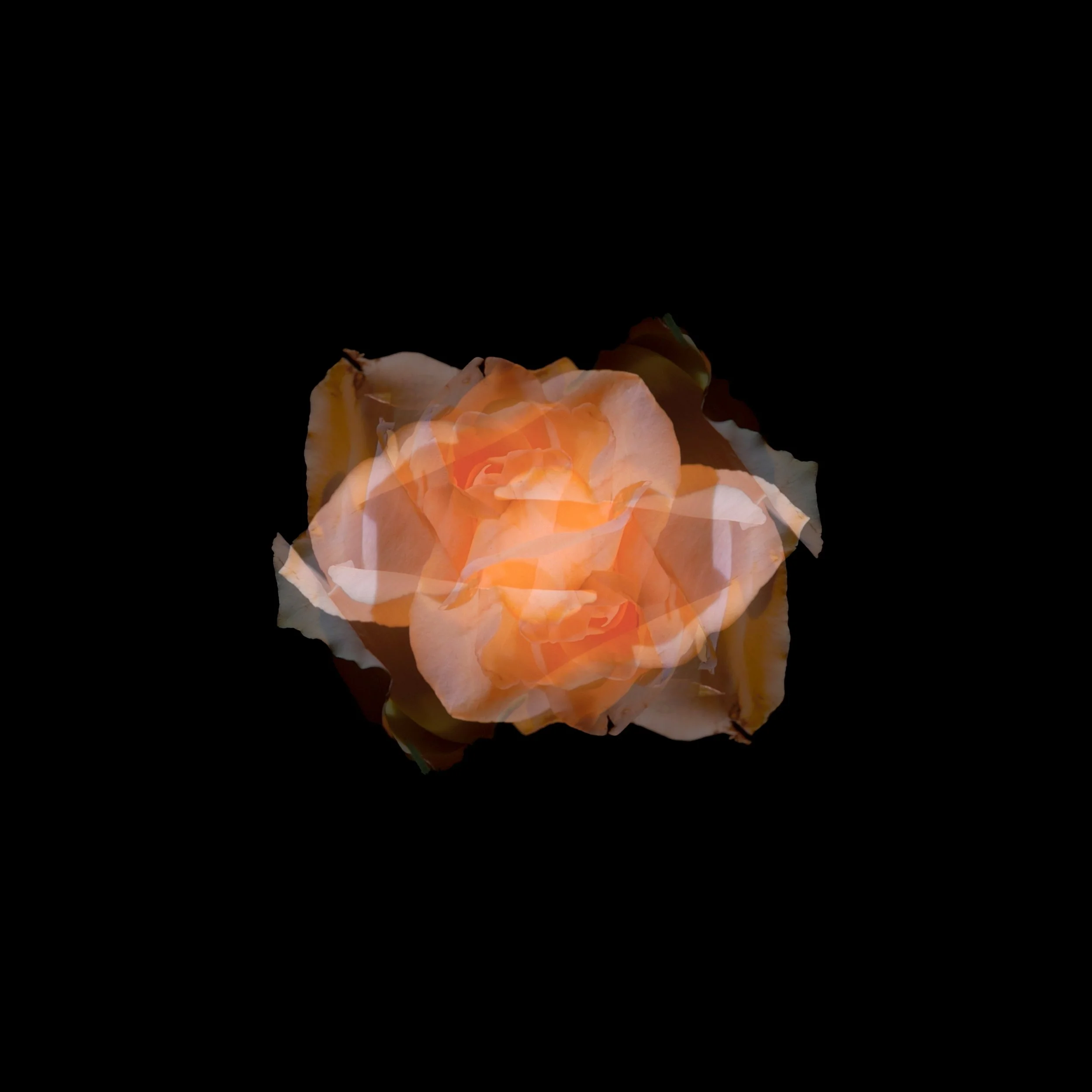 Forsling&Hauch_Artwork Session _3_5-2.jpg