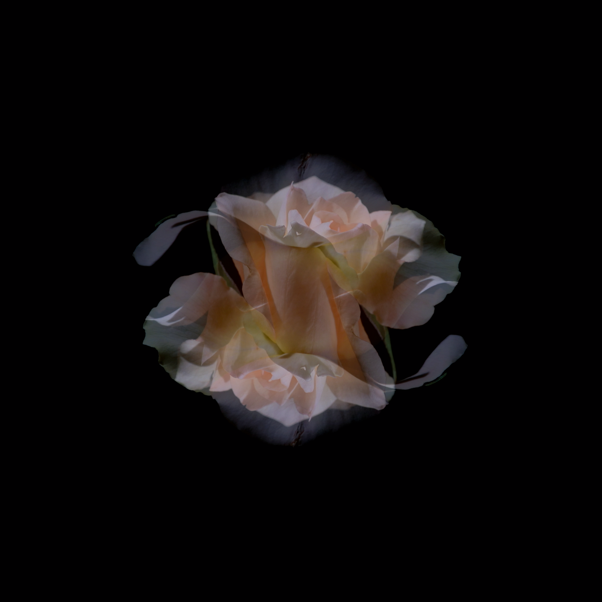 Forsling&Hauch_Artwork Session _3_1.png