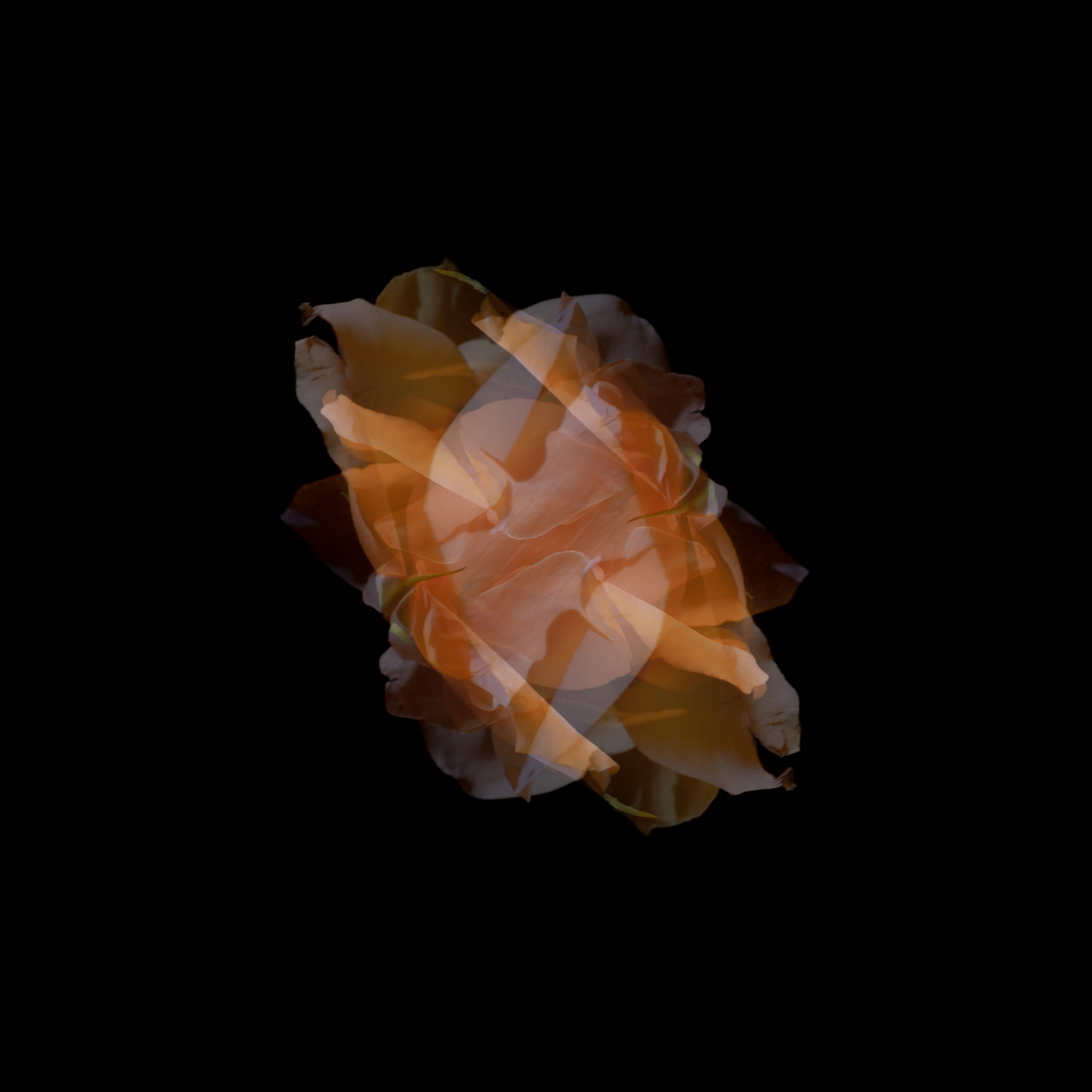 Forsling&Hauch_Artwork Session _3_2.png