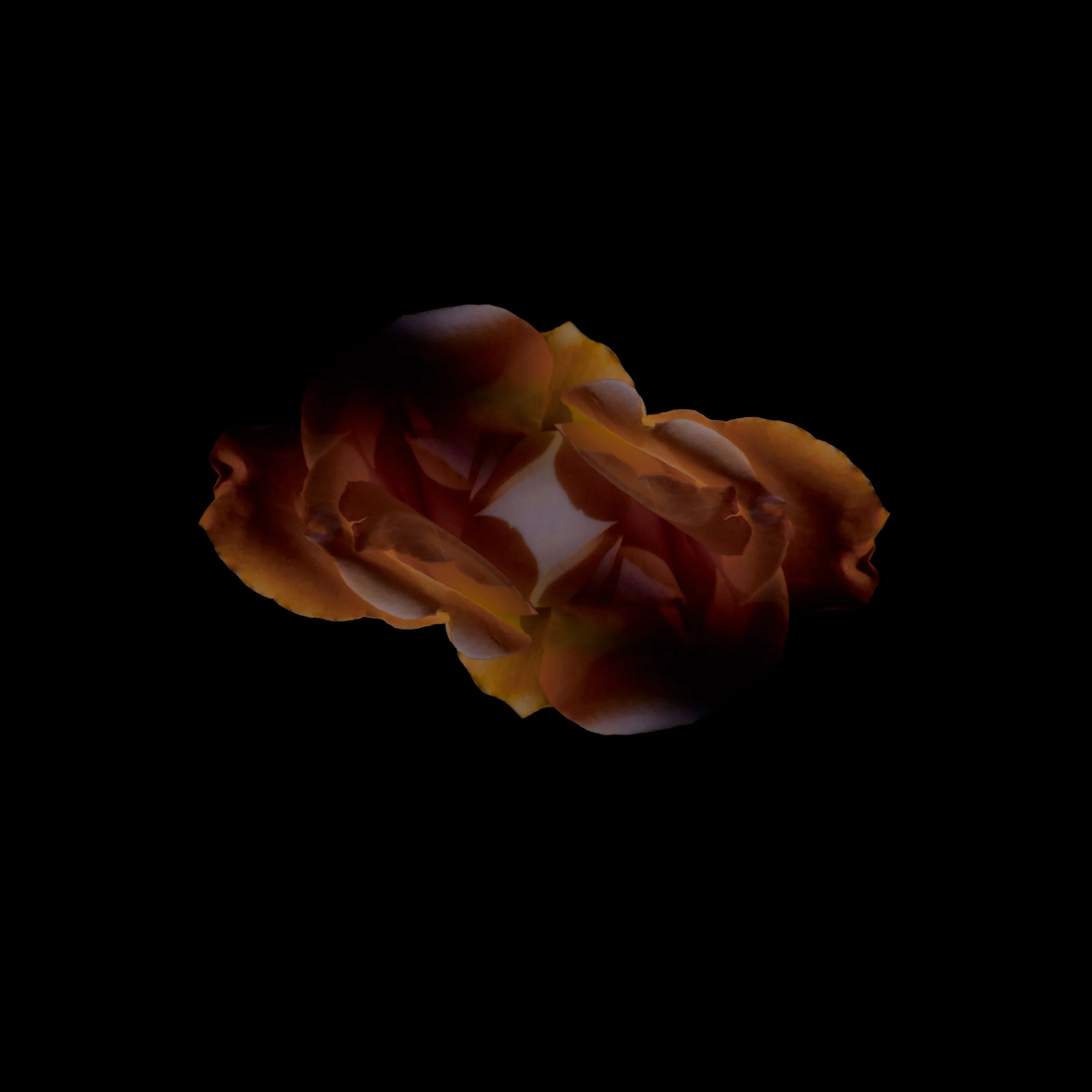 Forsling&Hauch_Artwork Session _3_-2.jpg