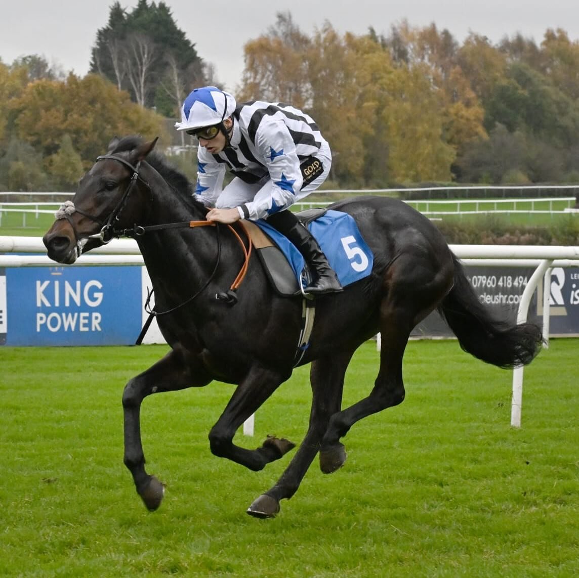 BELTADAAY wins cosily at @leicesterraces under @georgewood705 💫 

Delighted for owners Nelson Mandela House - their first winner as a partnership! Here&rsquo;s to many more 🥂