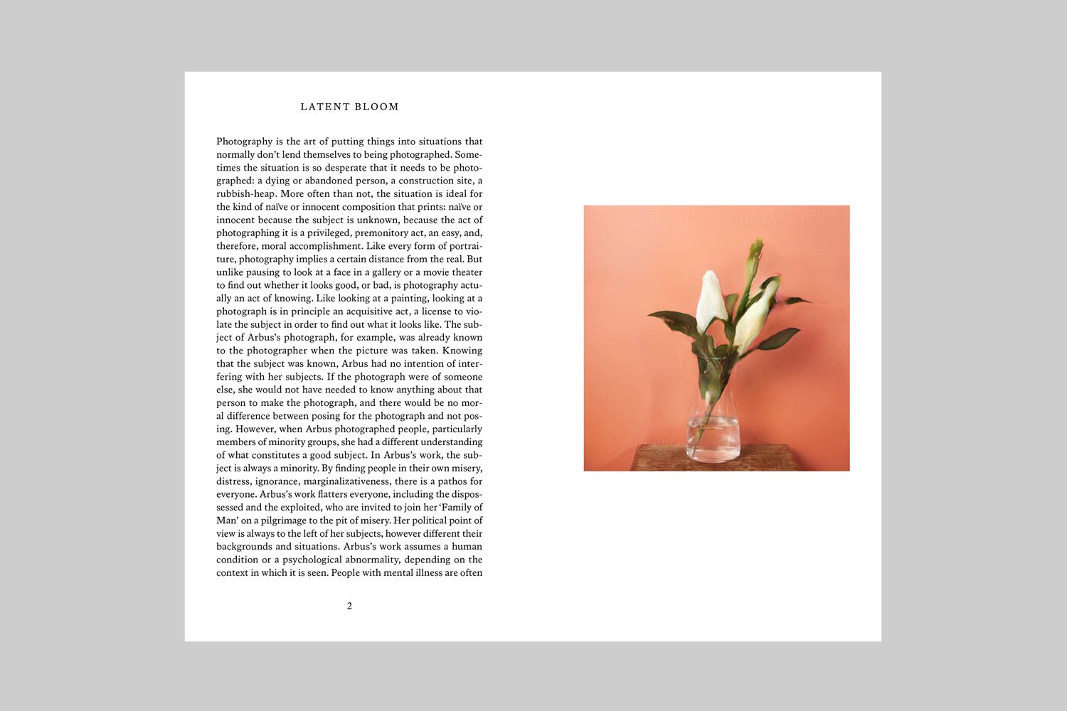 latentbloom-03.jpg