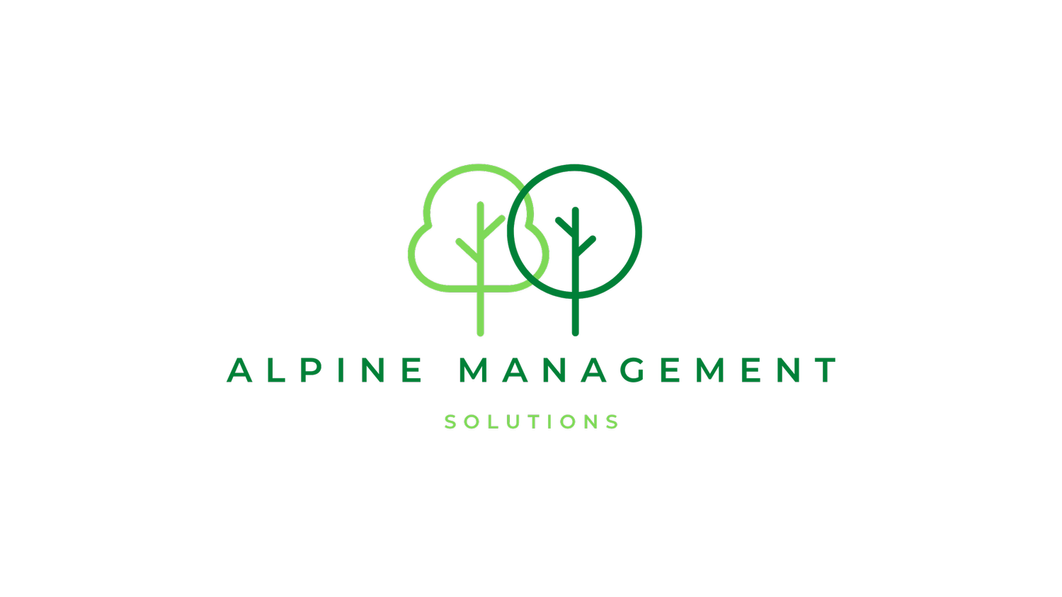 Alpine Management Solutions
