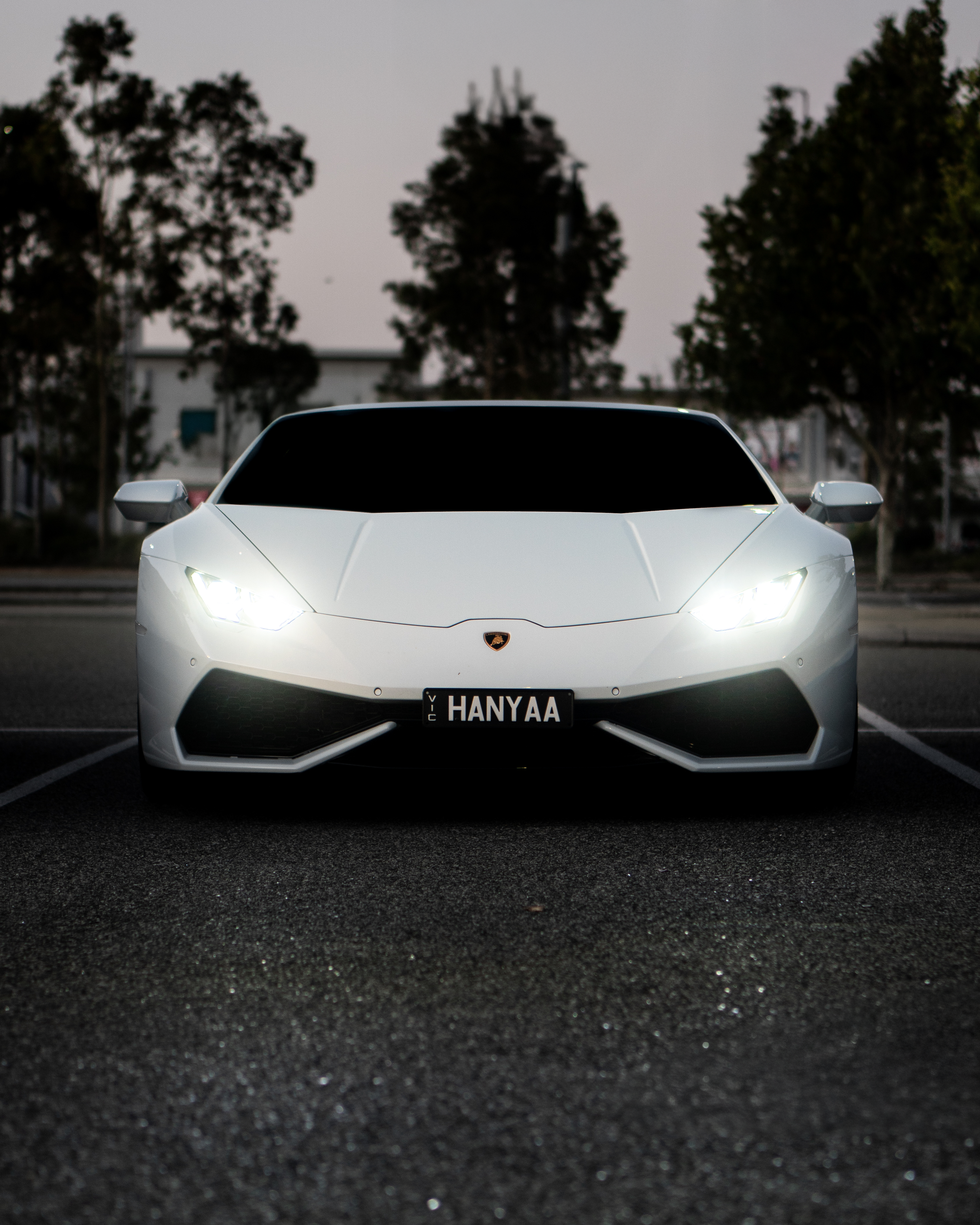 White Lambo-2.png
