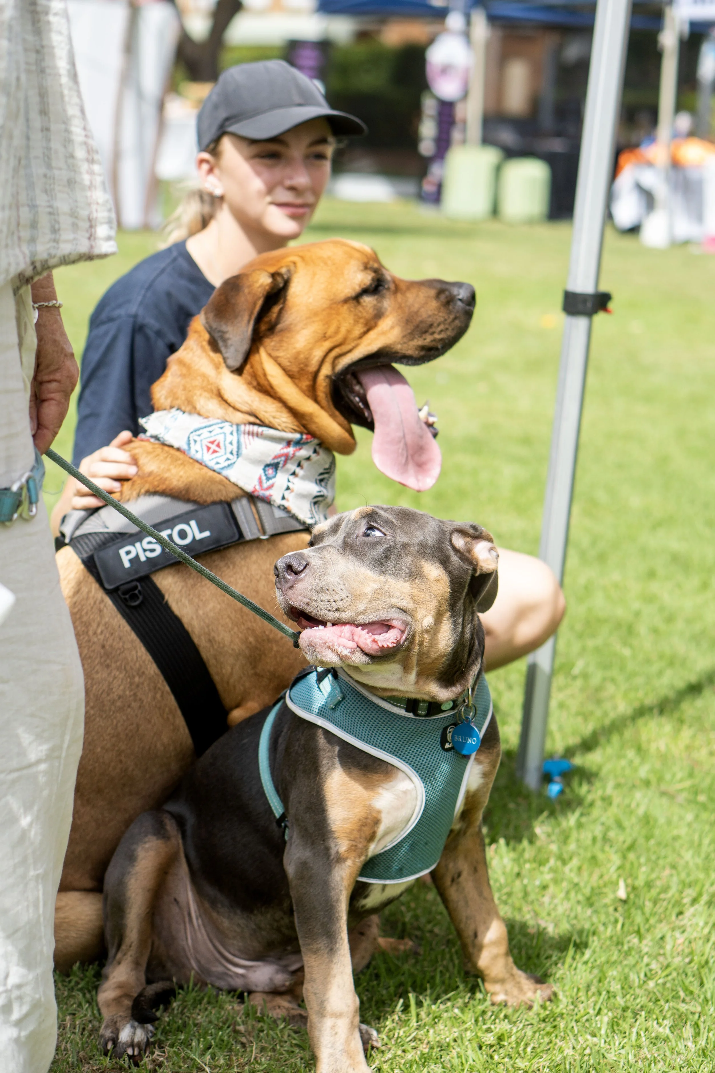Big Dog Day Out-721.JPG