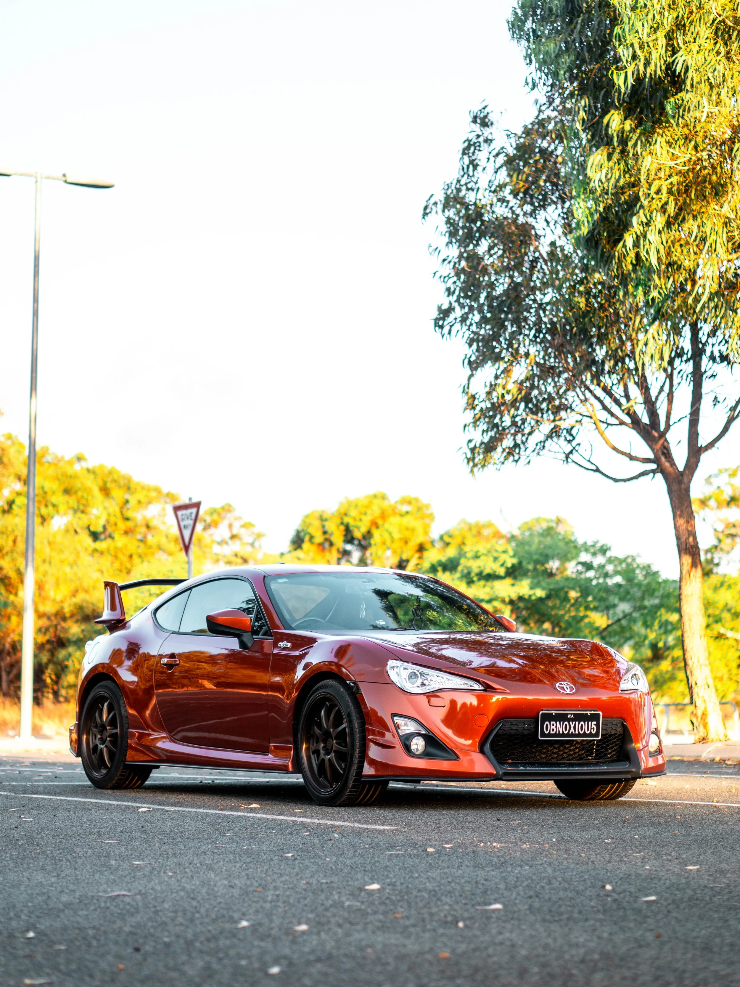 Red-2.jpg