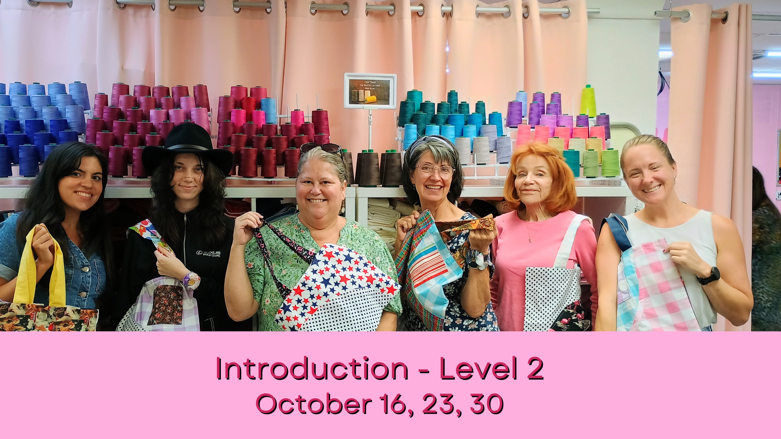 Introduction to Sewing - Level 2 — Sew Pinellas