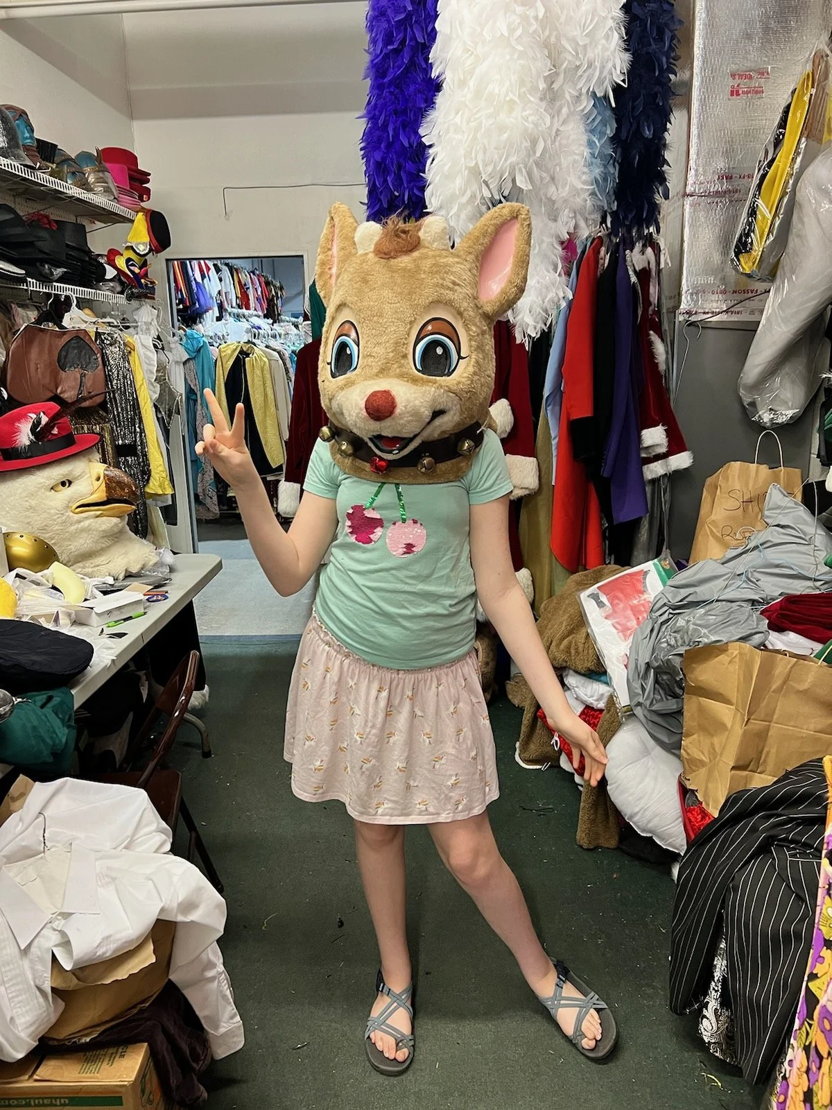 Costume Sale/Fund Raiser
