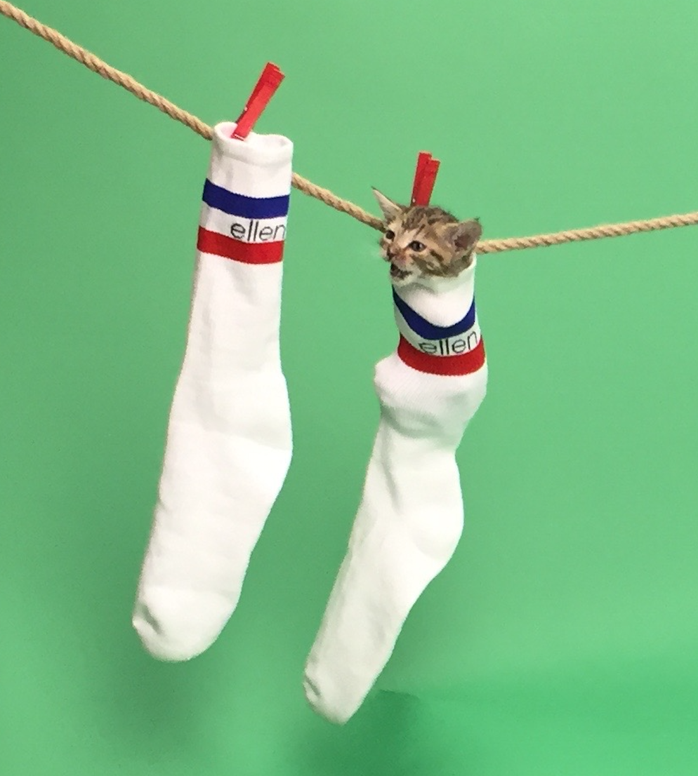 Capture d’écran 2023-11-29 à 14.41.49.png