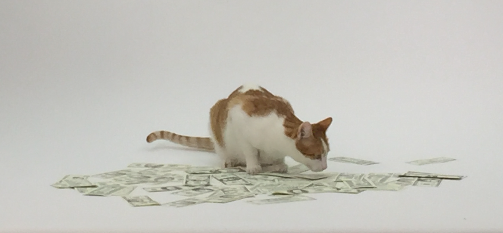 Capture d’écran 2023-11-29 à 14.55.05.png