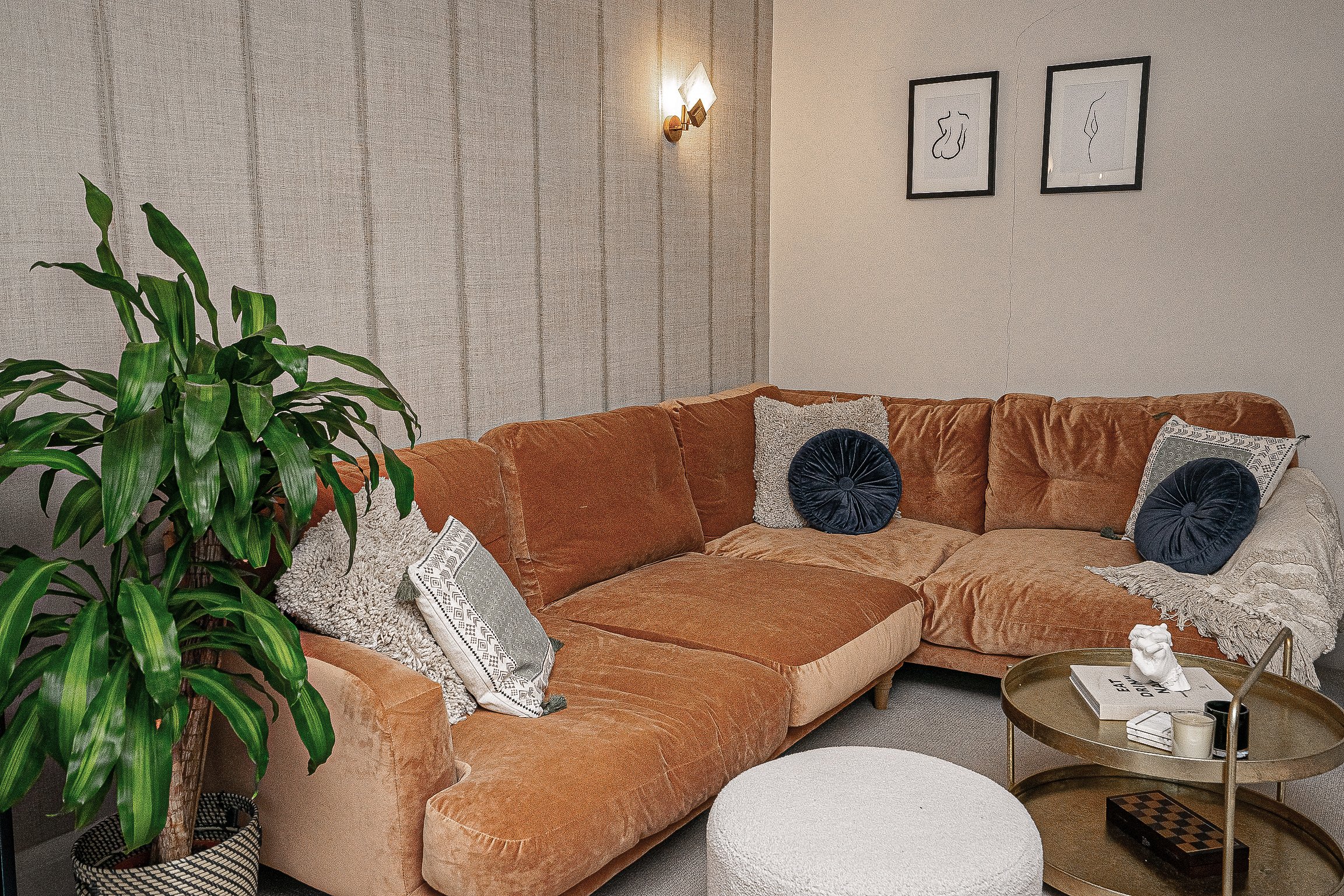 DSC02239-2.jpg