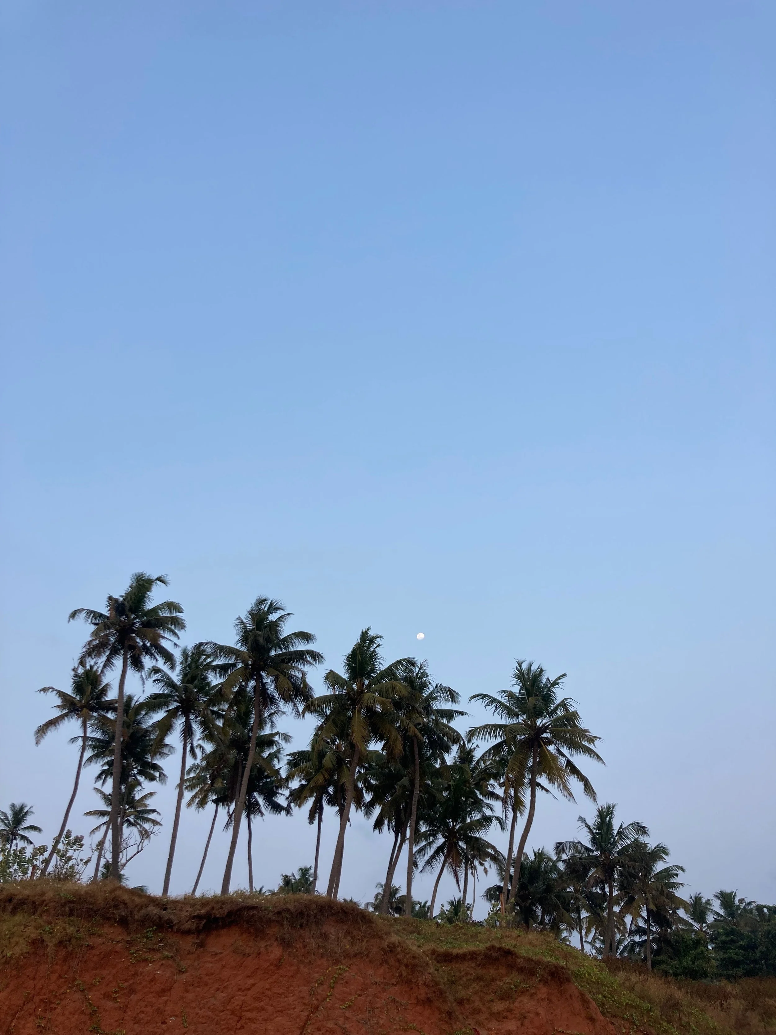 IMG_9500.jpeg